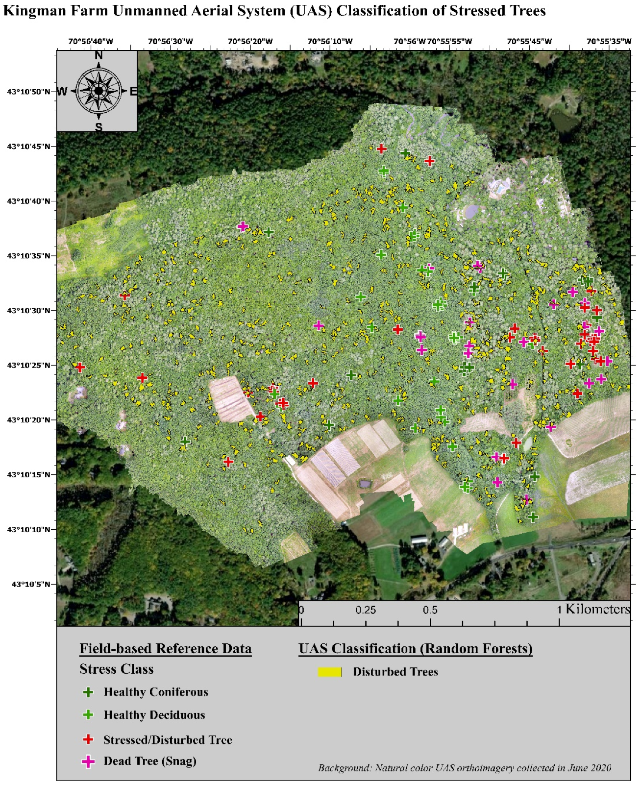 Remotesensing 13 04873 g004 Remotesensing 13 04873 g004