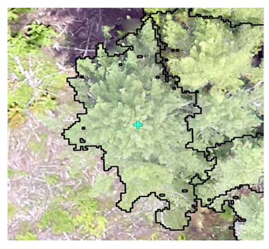 Remotesensing 13 04873 i001 Remotesensing 13 04873 i001