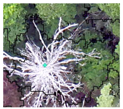 Remotesensing 13 04873 i003 Remotesensing 13 04873 i003