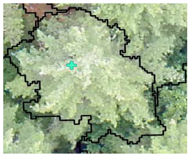 Remotesensing 13 04873 i004 Remotesensing 13 04873 i004