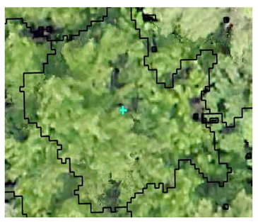 Remotesensing 13 04873 i007 Remotesensing 13 04873 i007