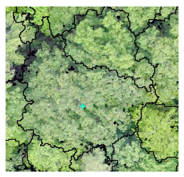 Remotesensing 13 04873 i010 Remotesensing 13 04873 i010