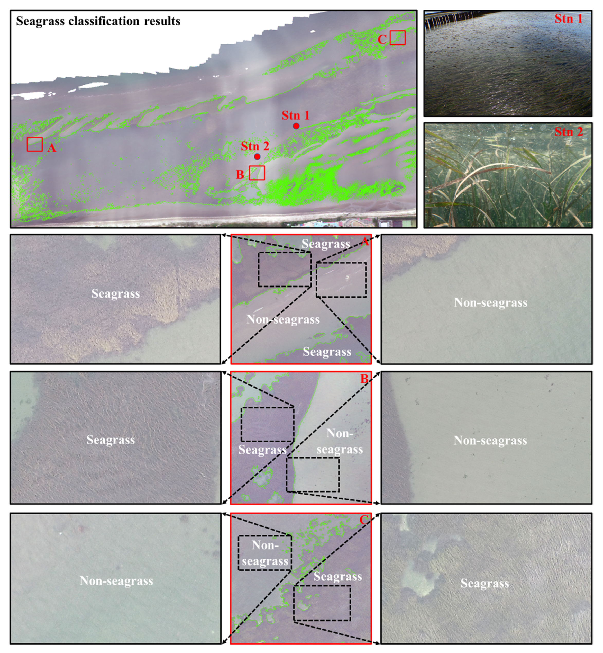 Remotesensing 13 04880 g009 550