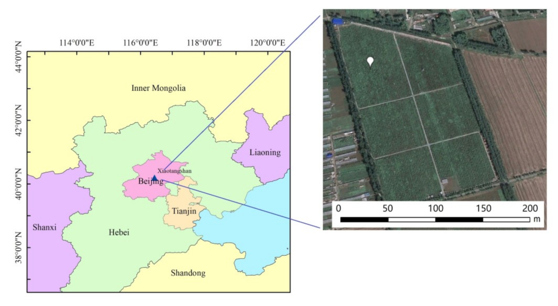 Remotesensing 13 04898 g001