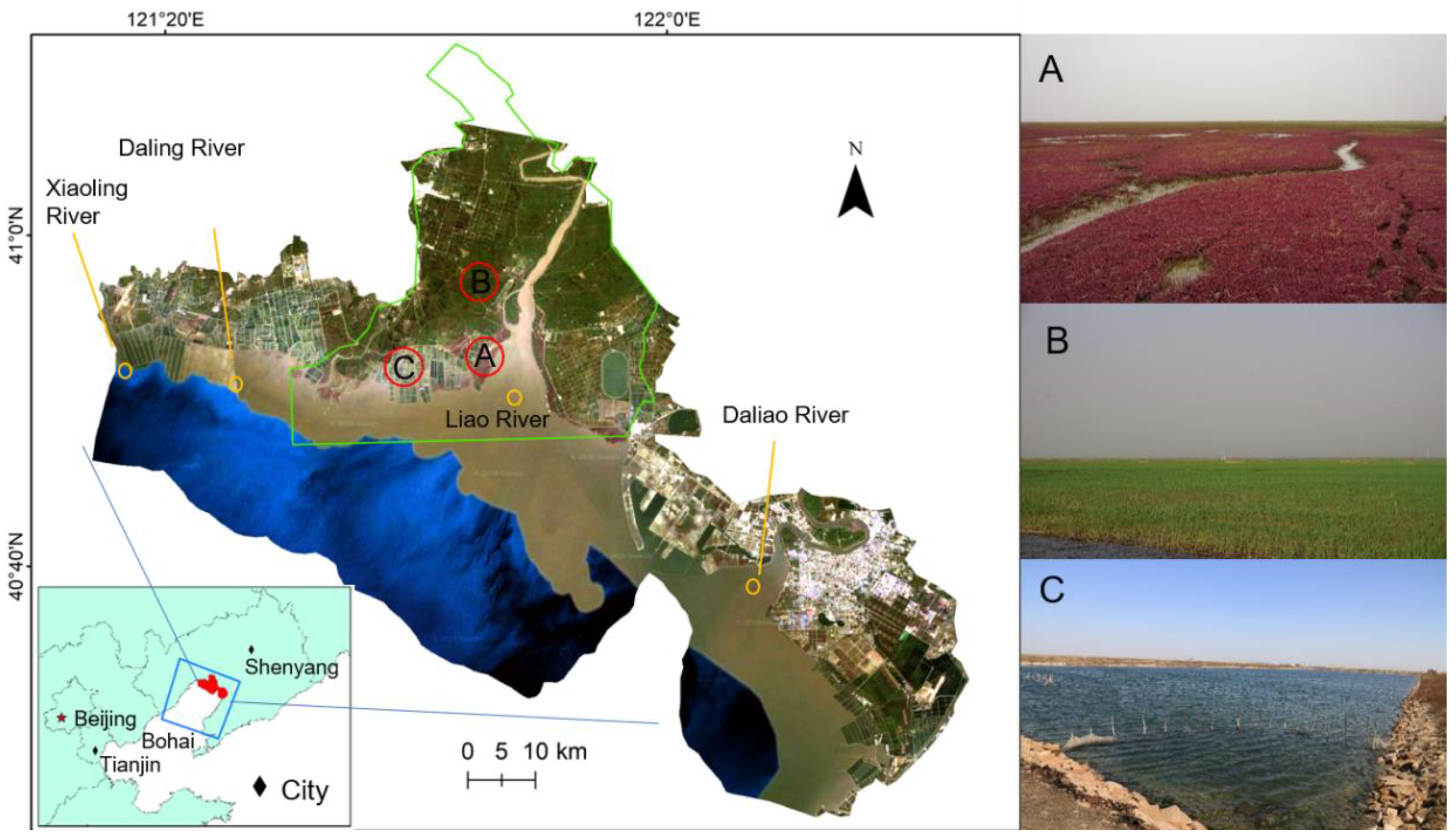 Remotesensing 13 04900 g001 550