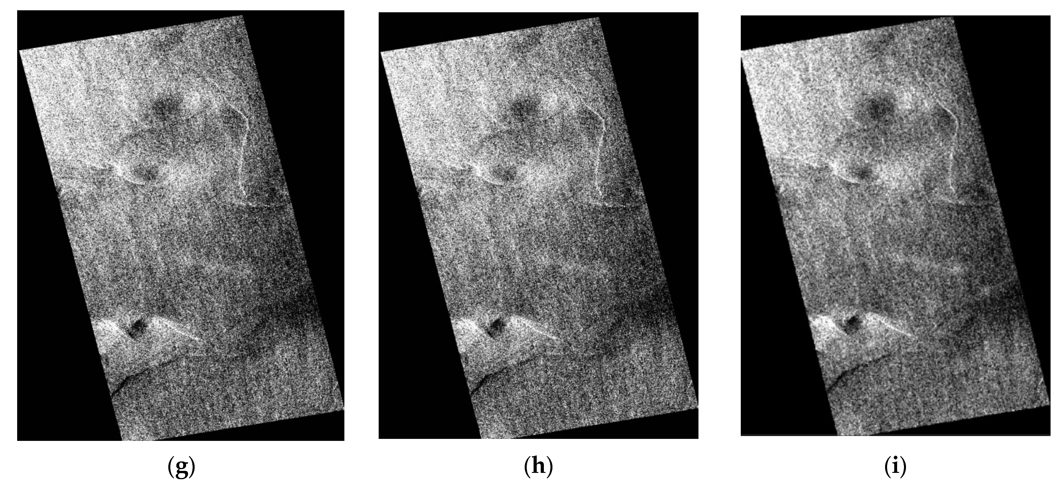 Remotesensing 13 04905 g006b 550