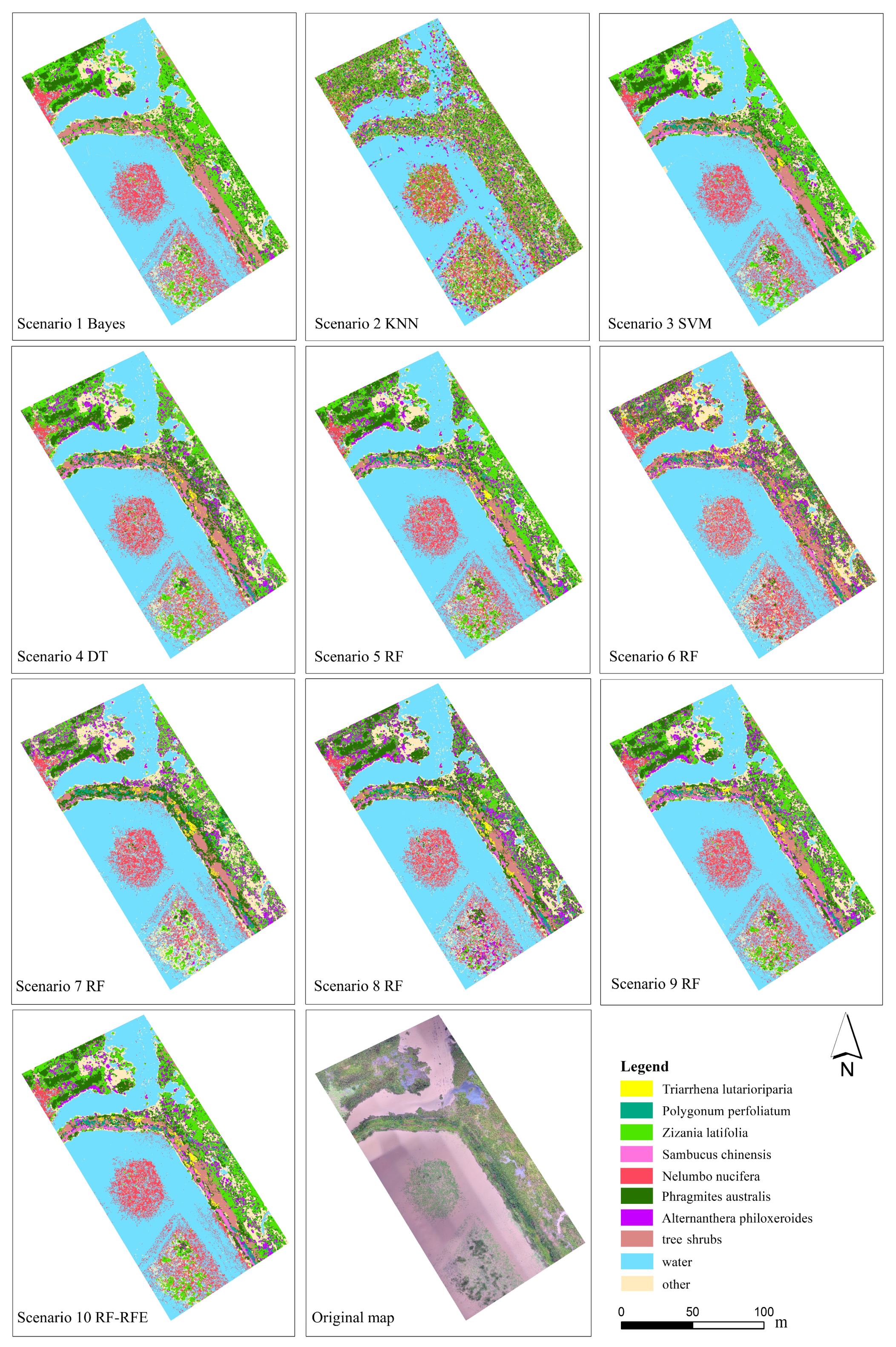 Object-Based Wetland Vegetation Classification Using Multi