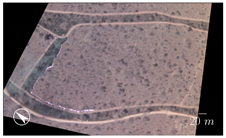 Remotesensing 13 04913 i003 Remotesensing 13 04913 i003