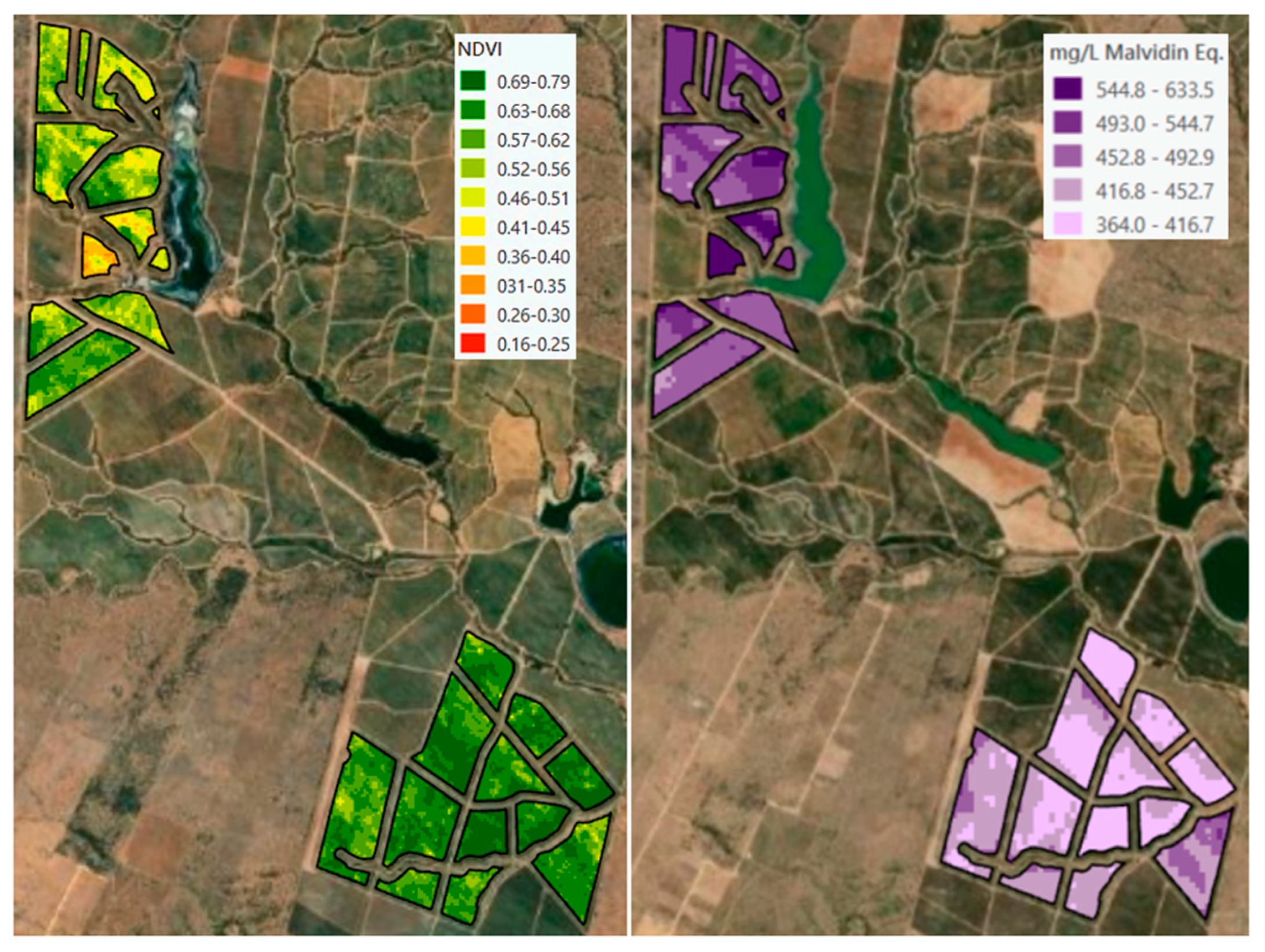 Remotesensing 13 04951 g008 550