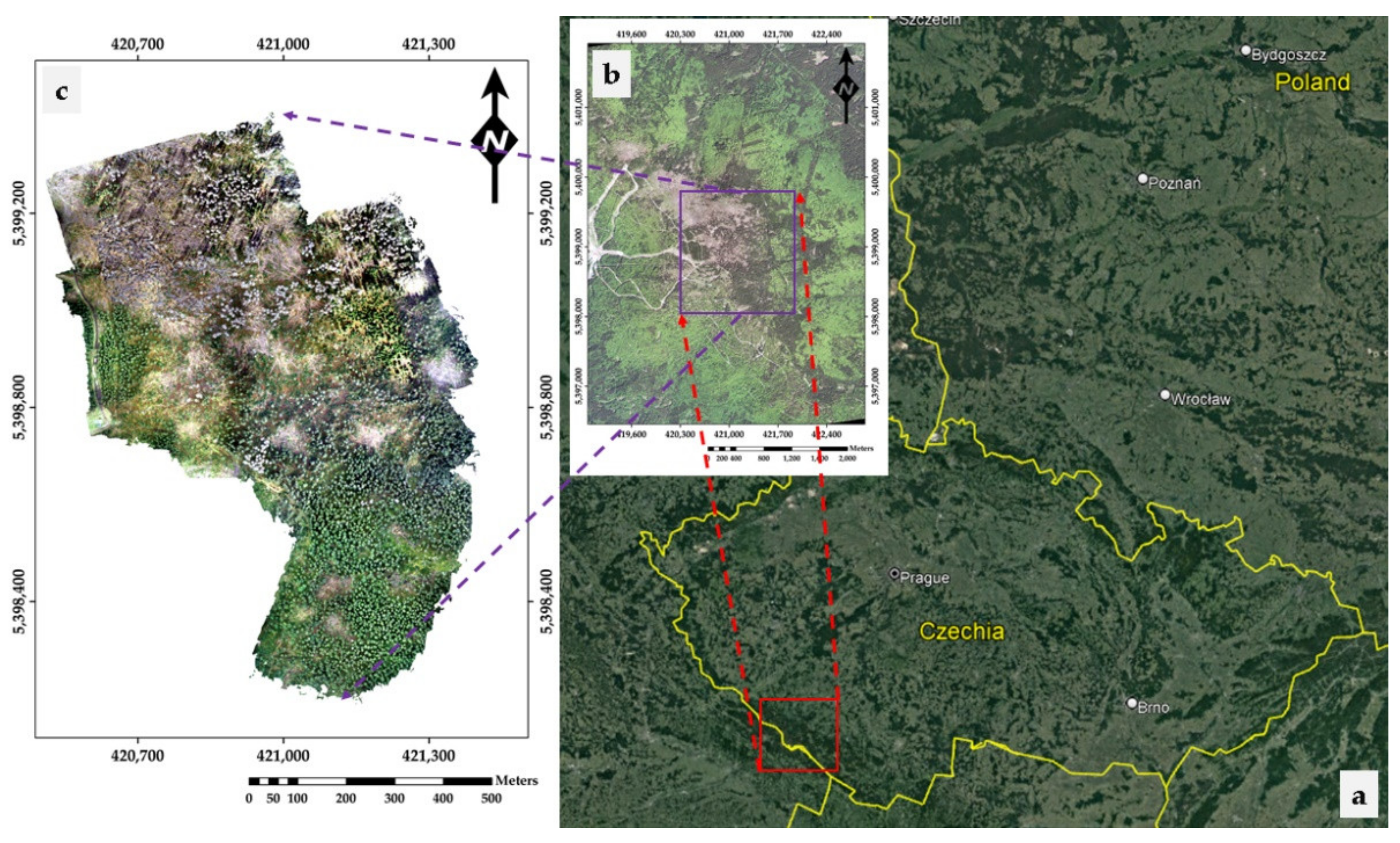 Remotesensing 13 04953 g001