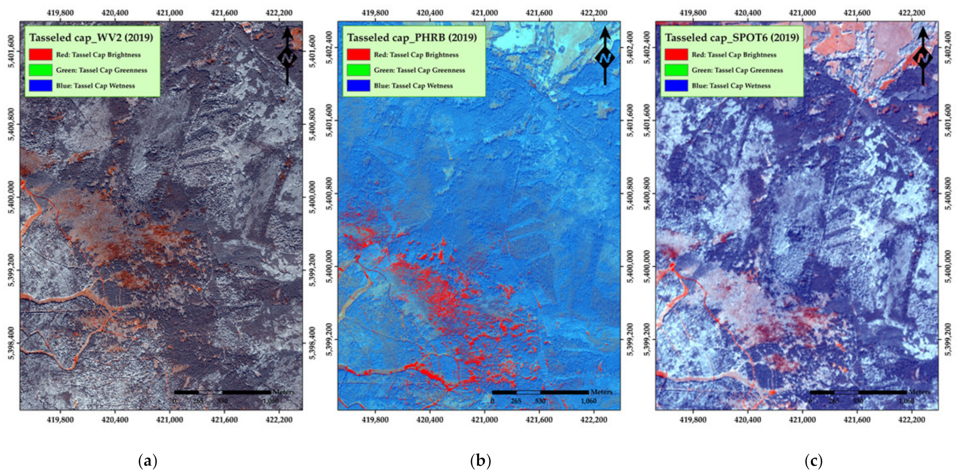 Remotesensing 13 04953 g008