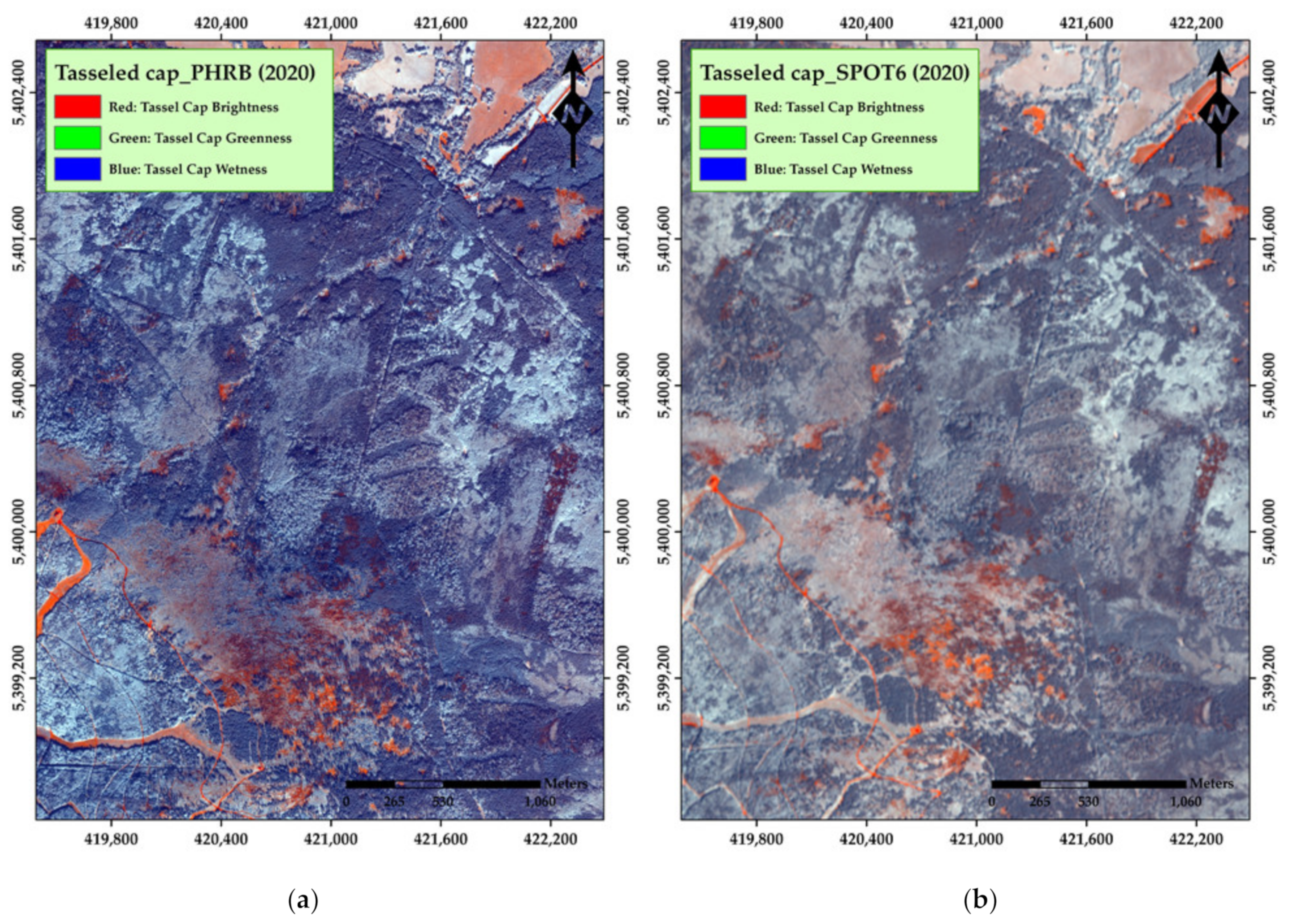 Remotesensing 13 04953 g0a22