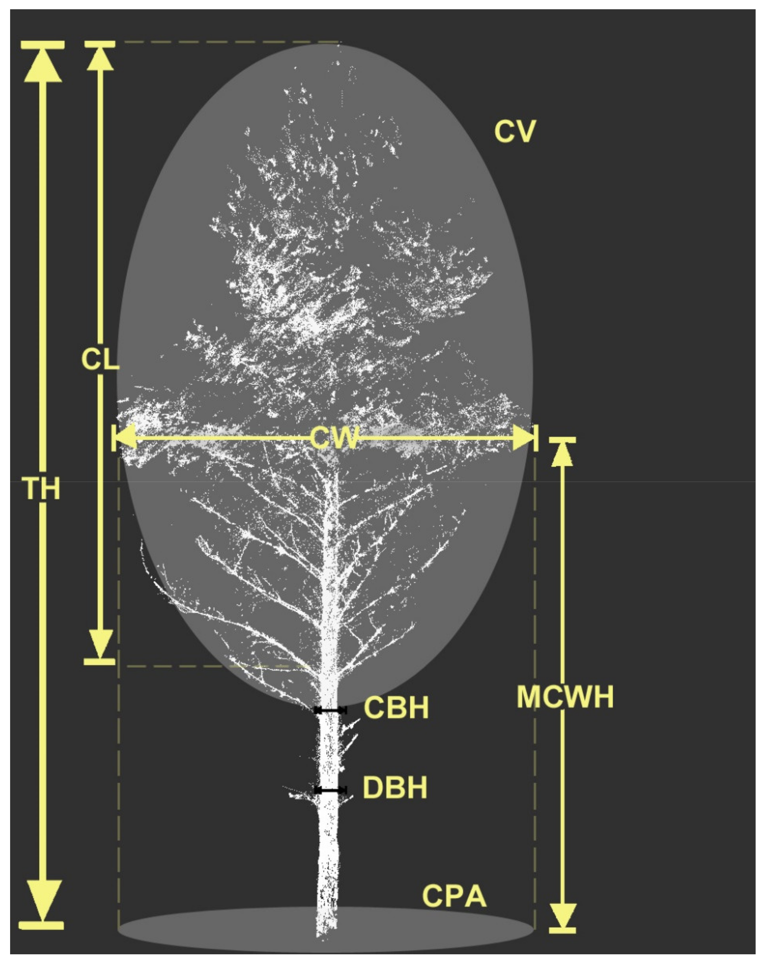 Remotesensing 13 04955 g003 550