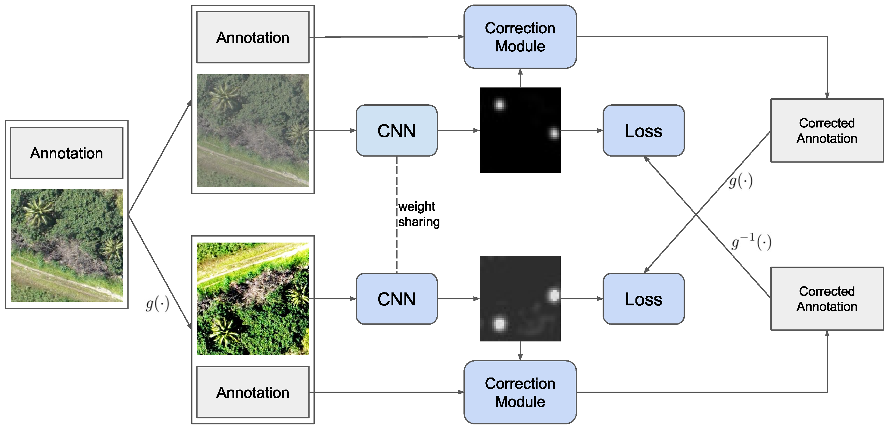 Remotesensing 13 04962 g001 550