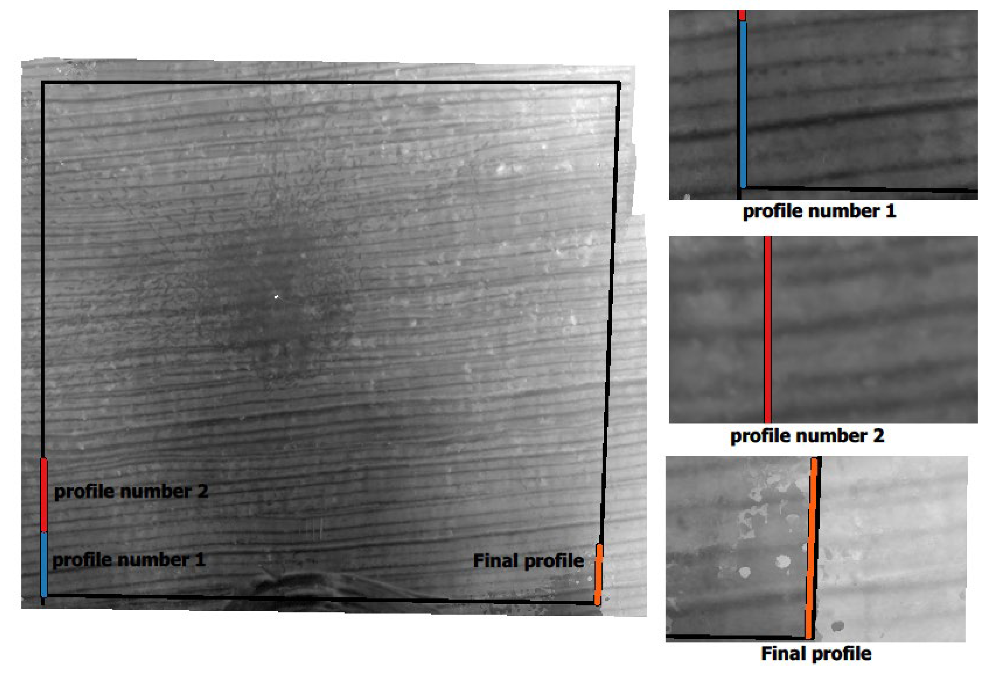 Remotesensing 13 04968 g003