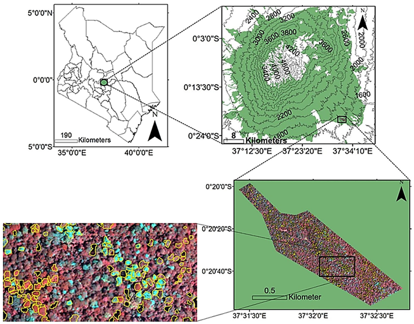 Remotesensing 13 04970 g001 Remotesensing 13 04970 g001