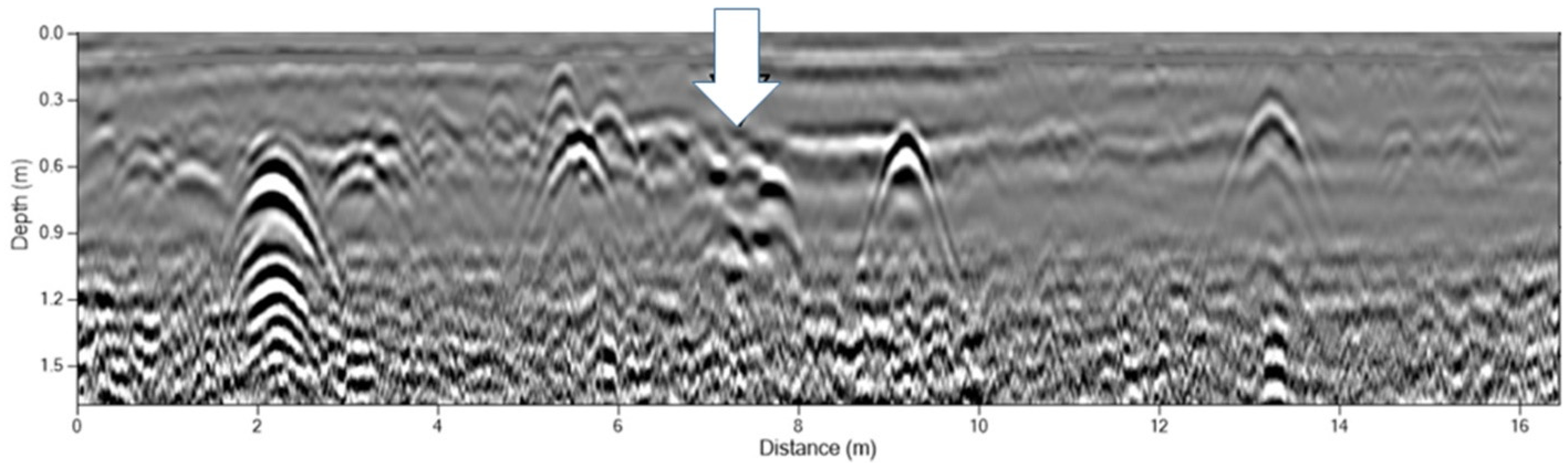 Remotesensing 13 04980 g006 550