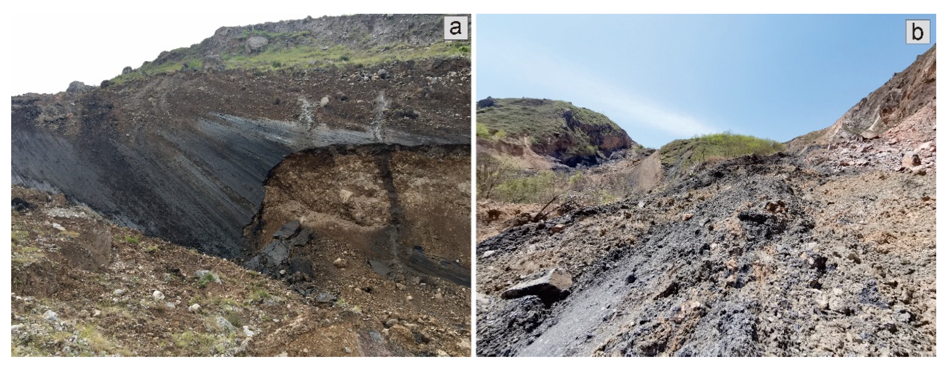 Remotesensing 13 04990 g002 550