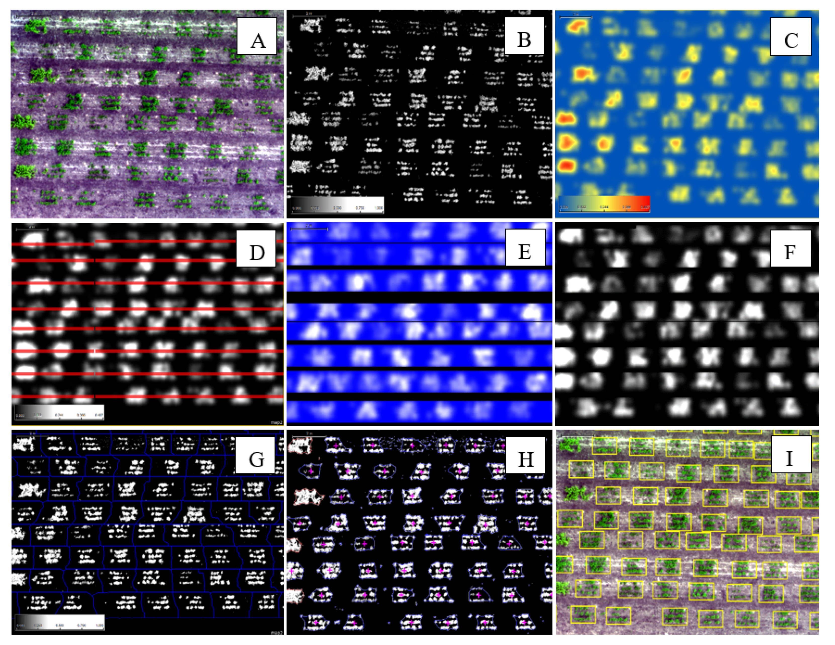 Remotesensing 13 04997 g003