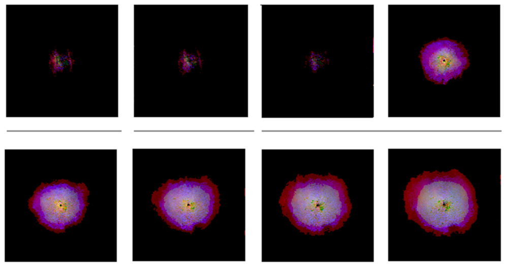 Remotesensing 13 04998 g005 Remotesensing 13 04998 g005