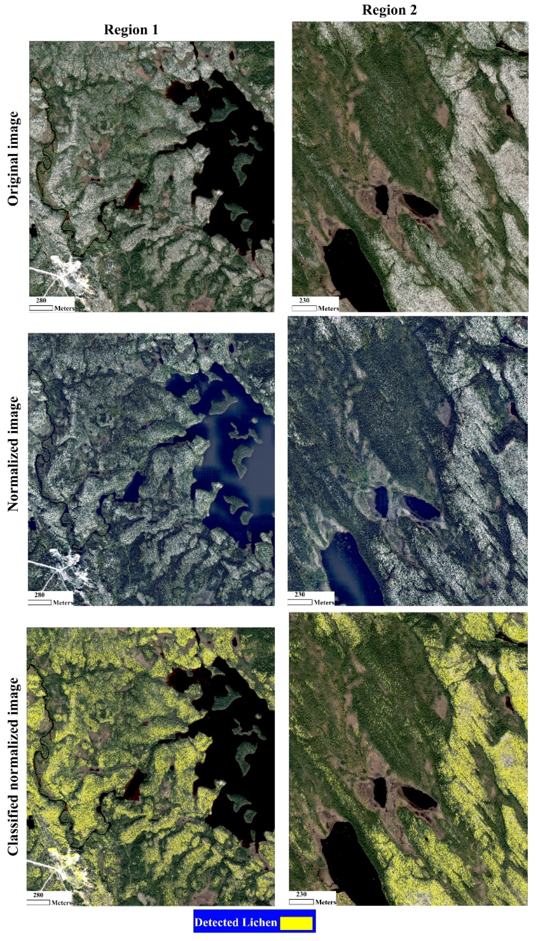 Remotesensing 13 05035 g009 550