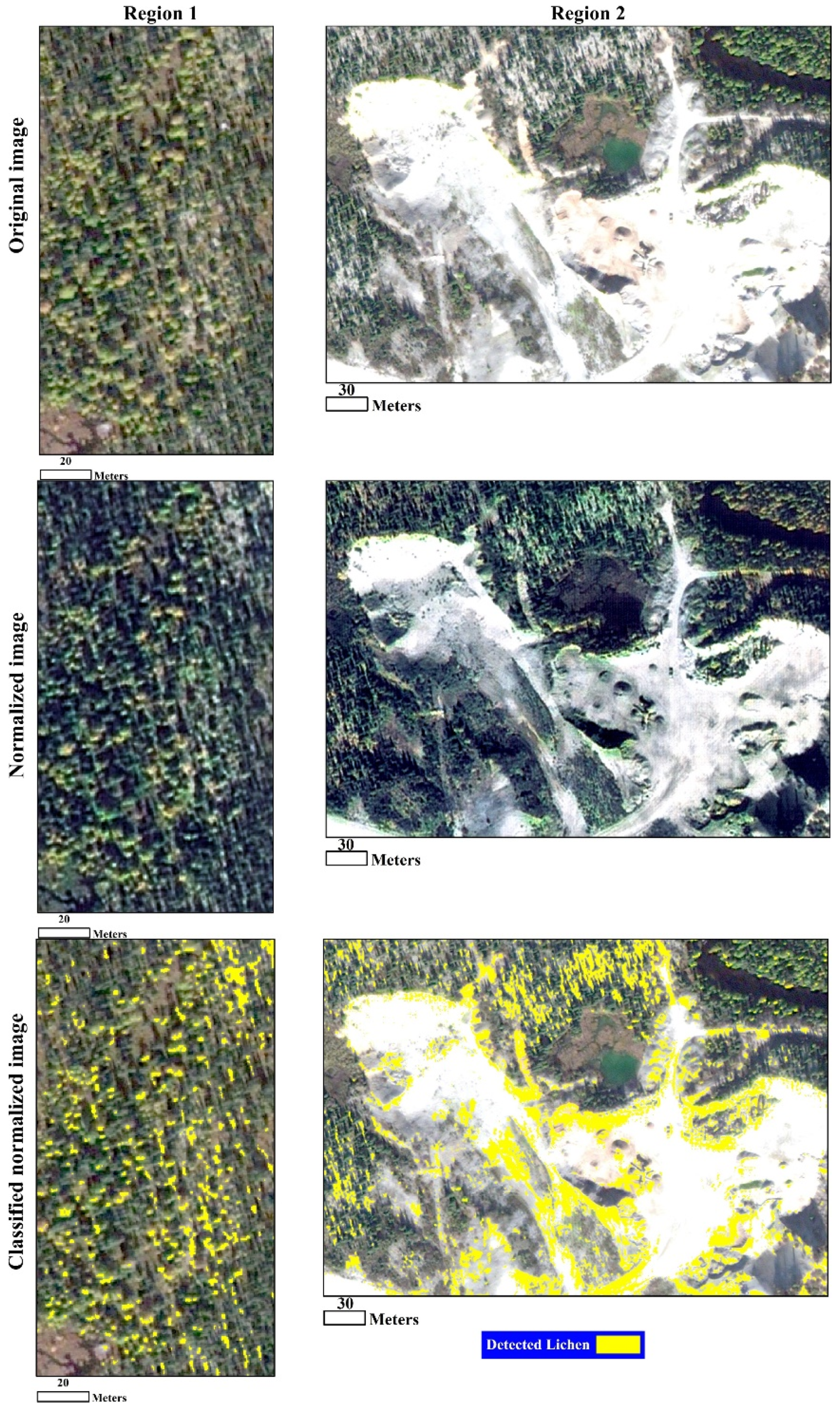 Remotesensing 13 05035 g010 550