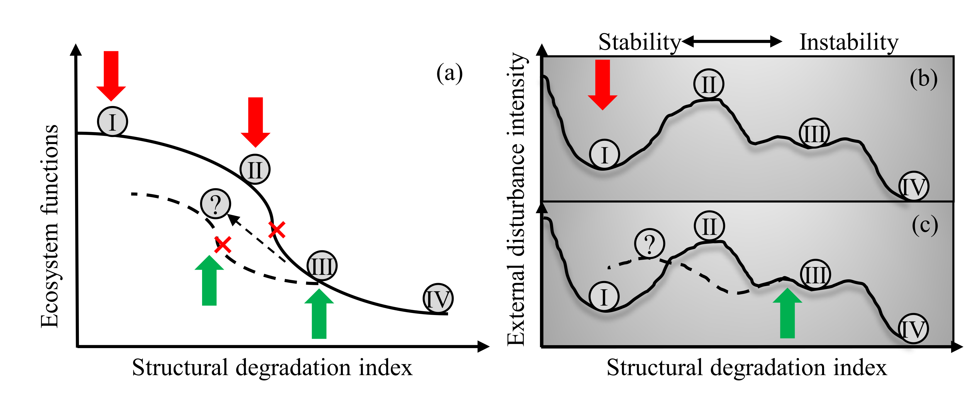 Remotesensing 13 05040 g001