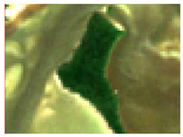 Remotesensing 13 05042 i003