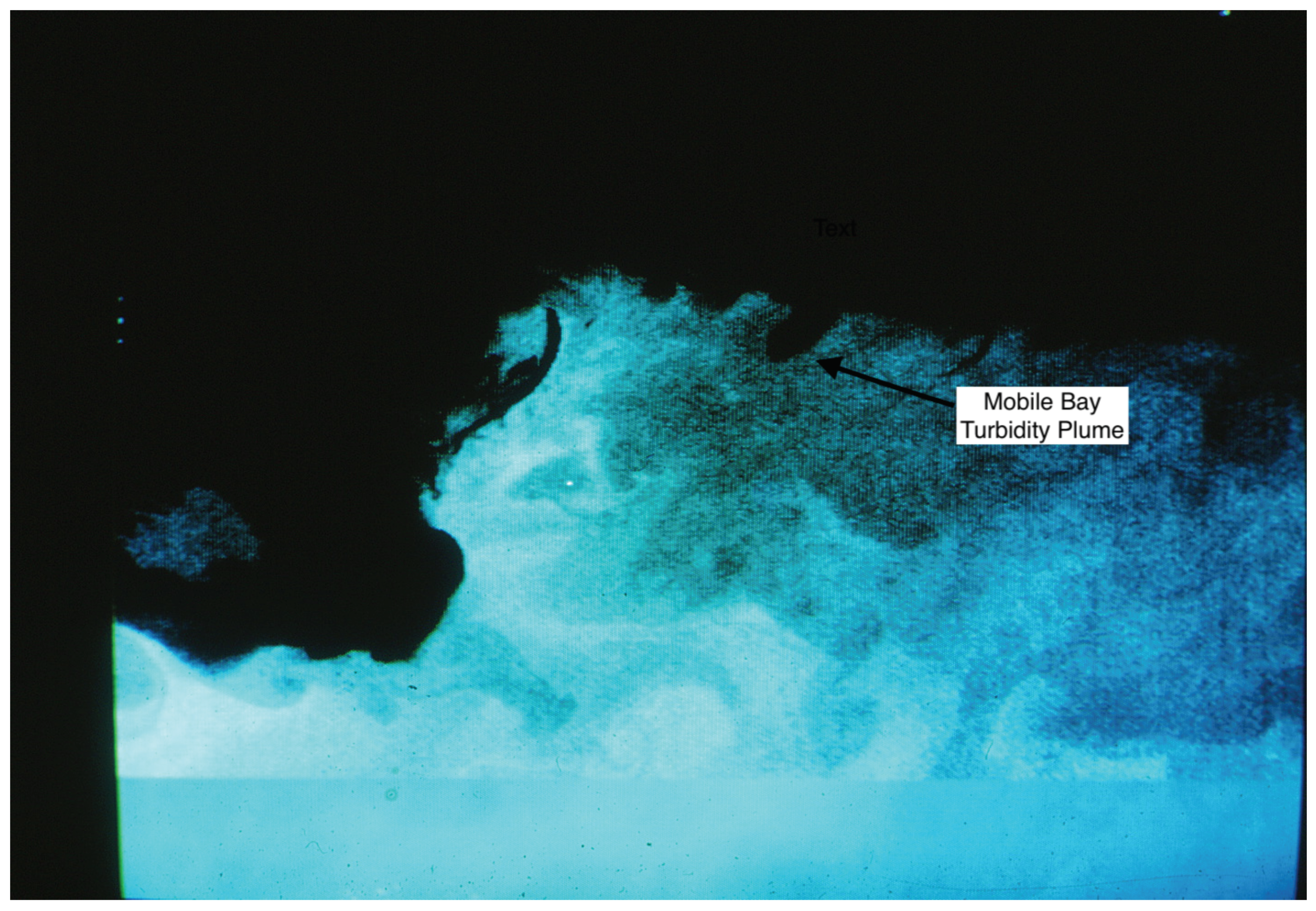 Remotesensing 13 05051 g012 550