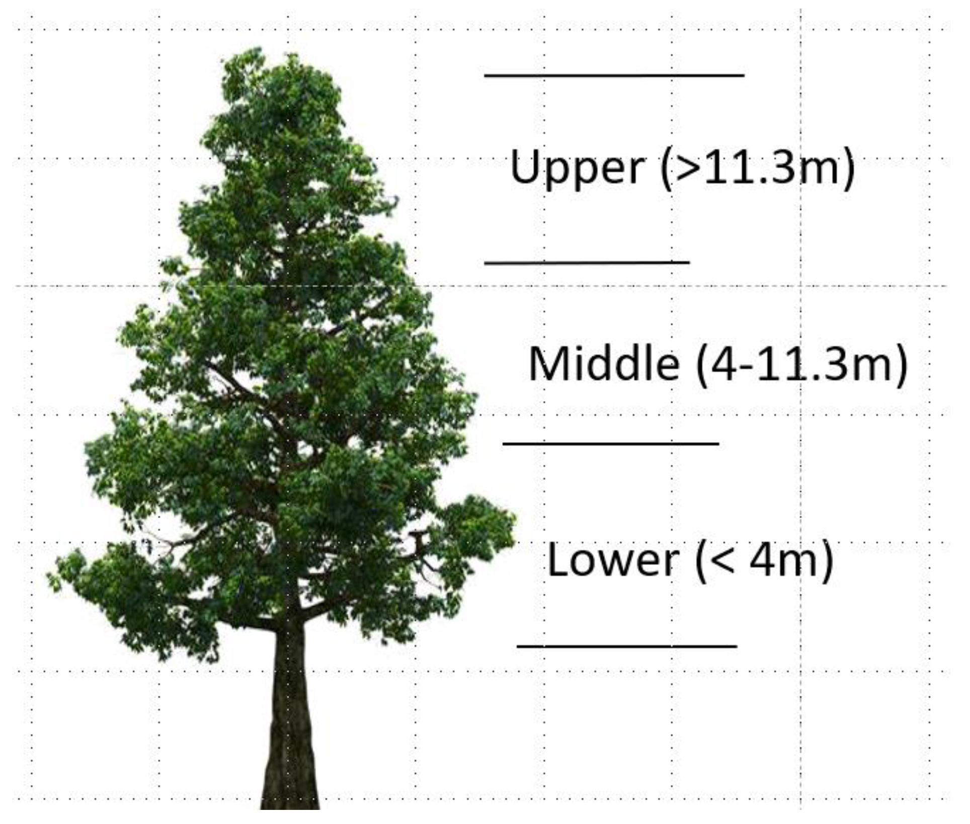 Remotesensing 13 05057 g002 Remotesensing 13 05057 g002