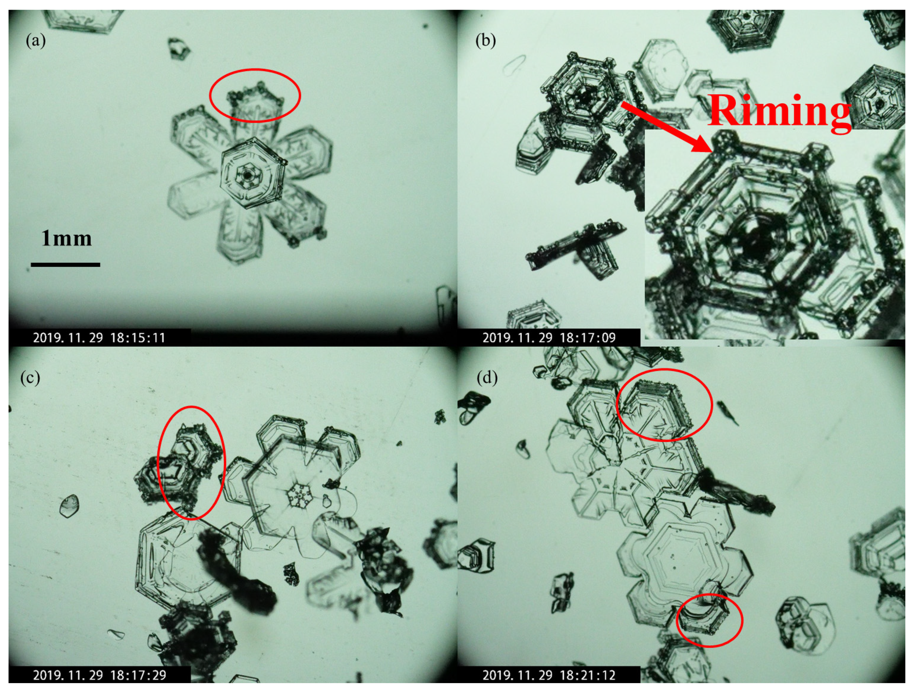 Remotesensing 13 05070 g012 550