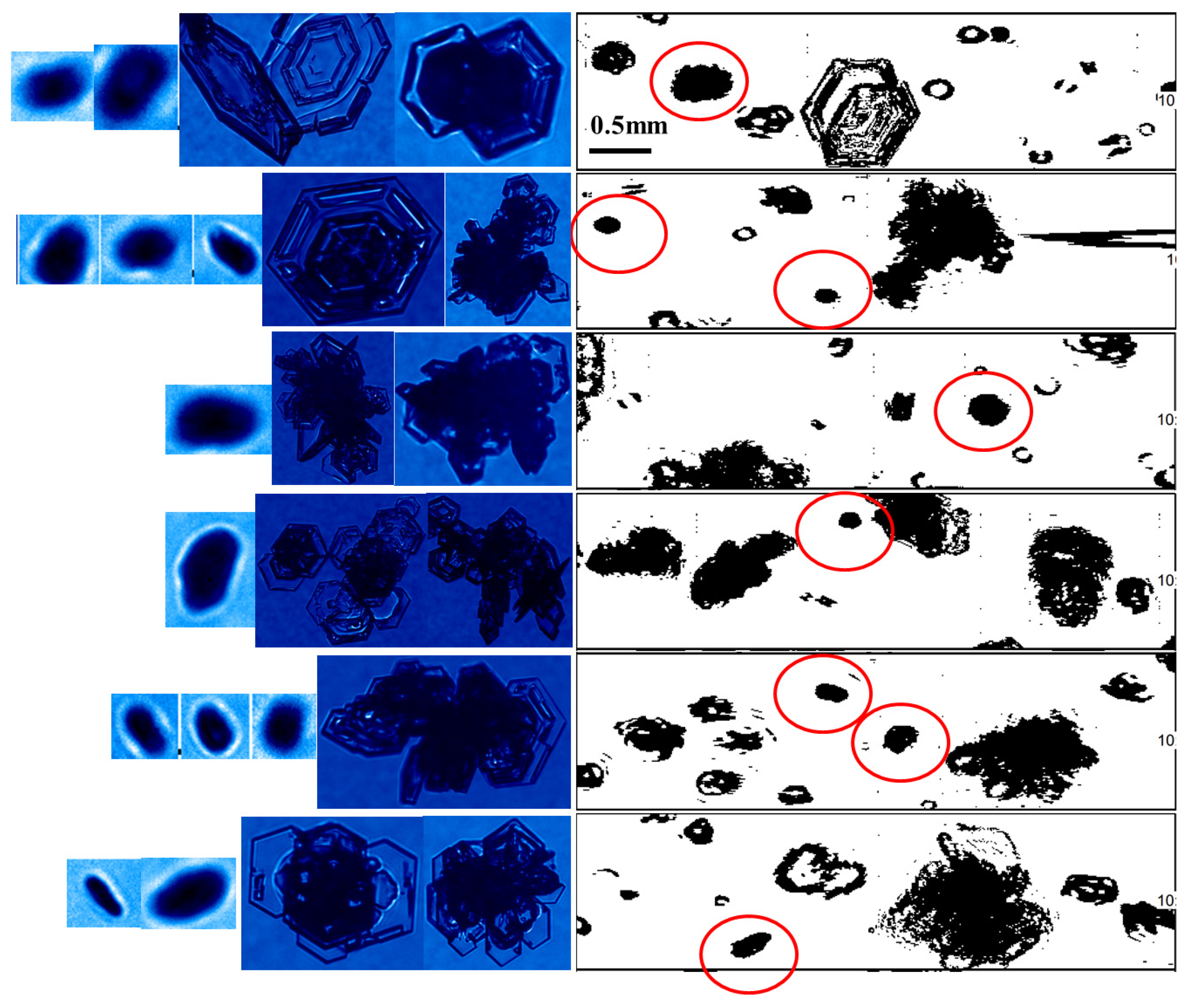 Remotesensing 13 05070 g014 550