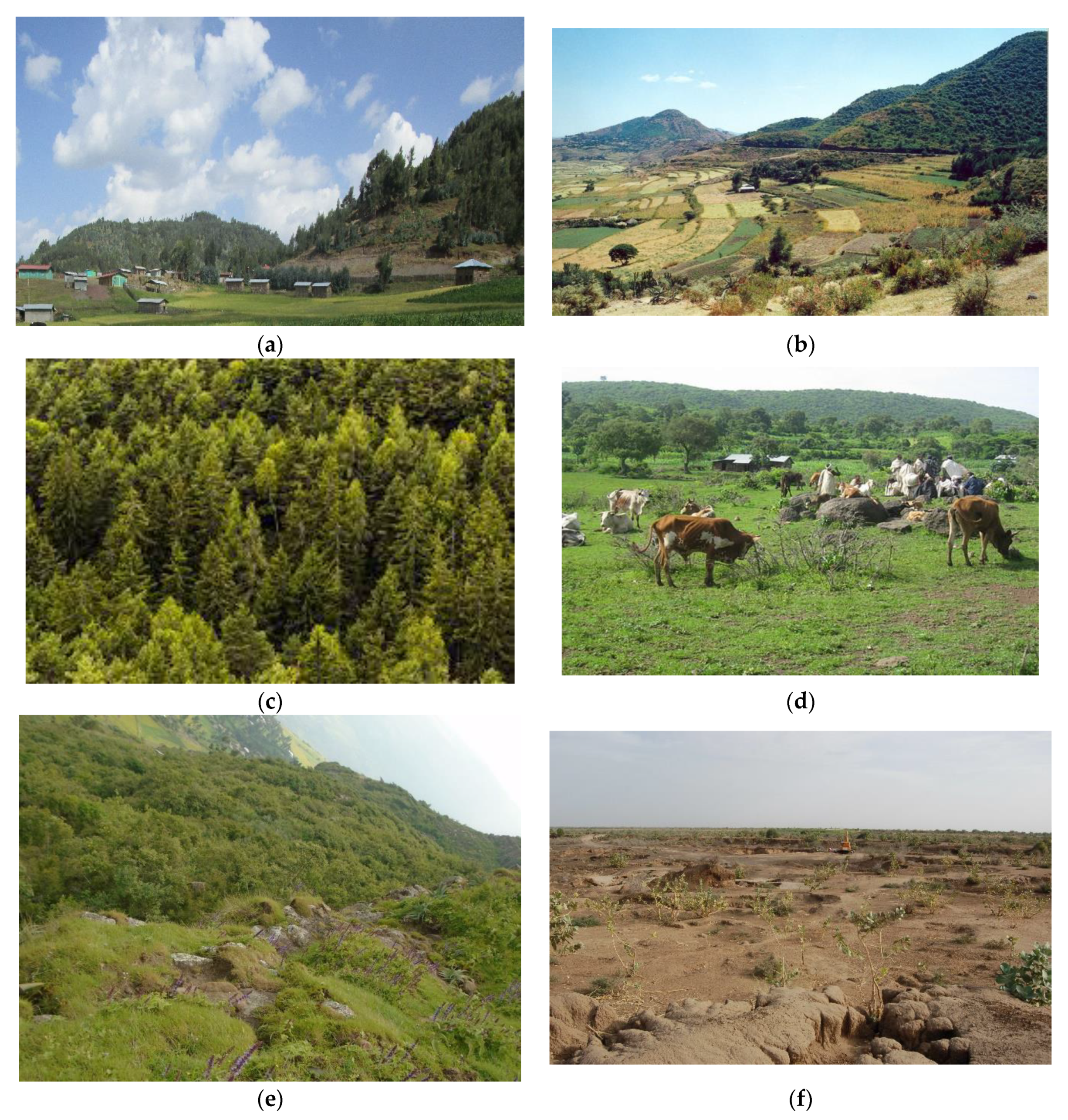 Remotesensing 13 05078 g004 Remotesensing 13 05078 g004