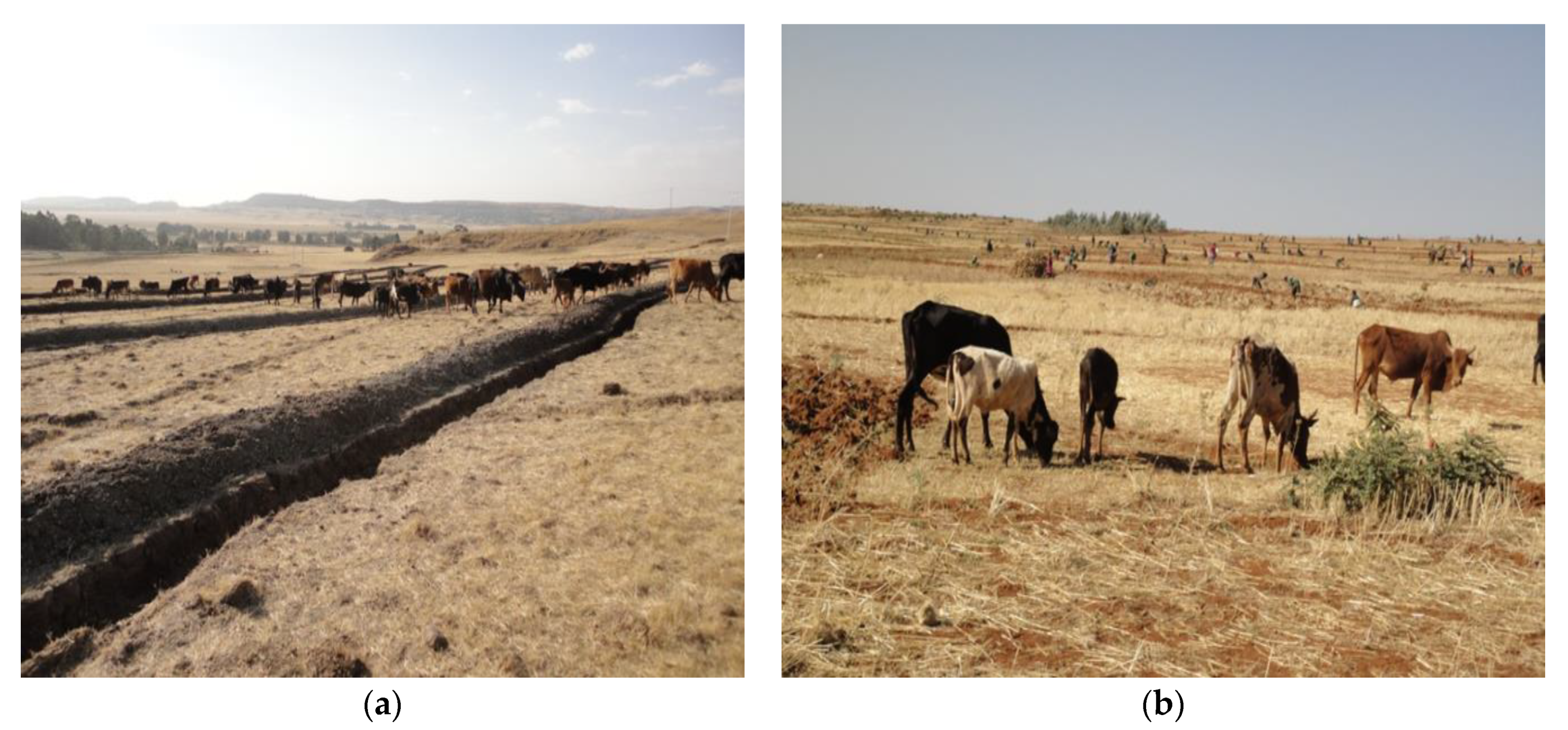 Remotesensing 13 05078 g009 Remotesensing 13 05078 g009