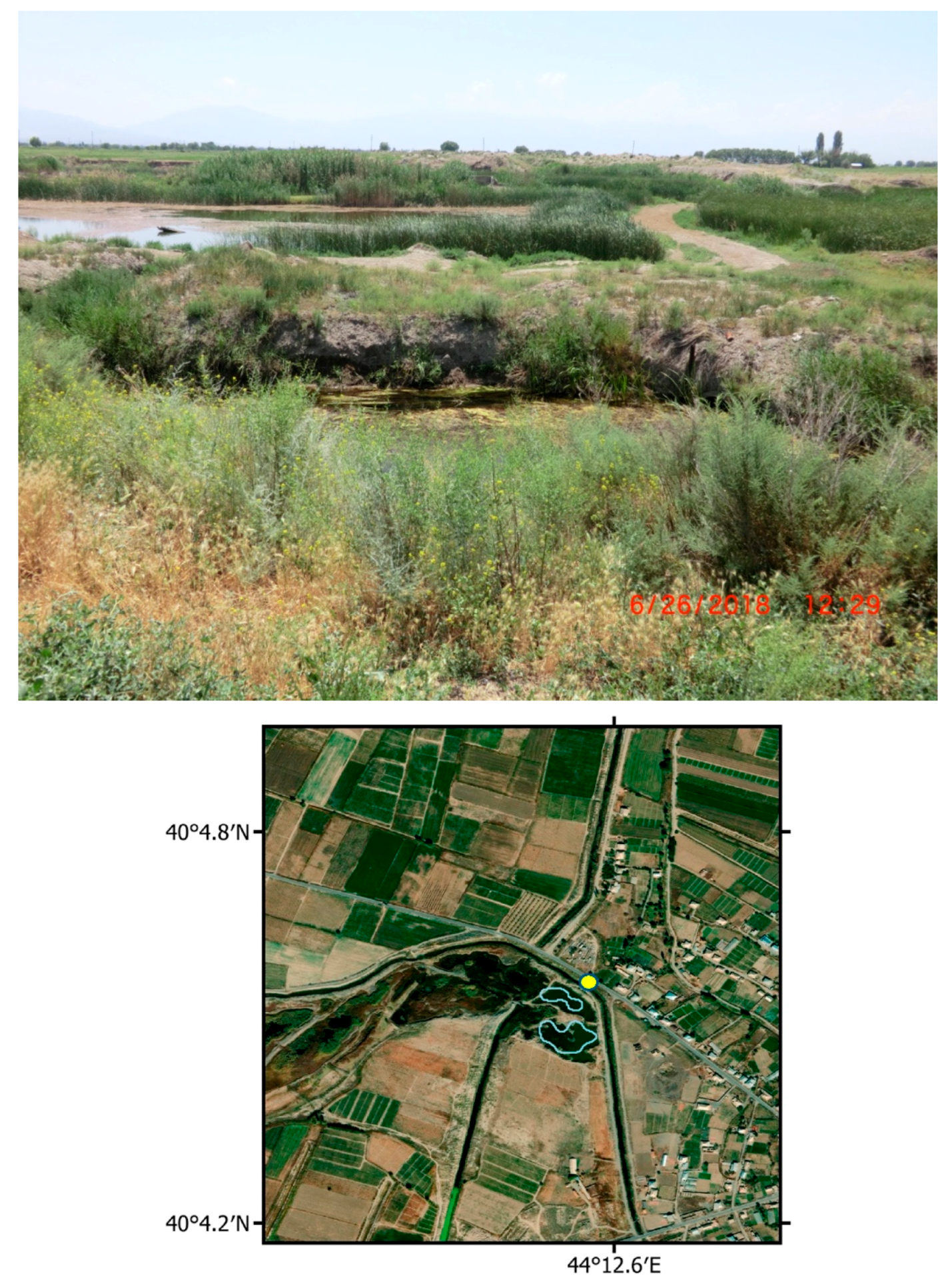 Remotesensing 13 05099 g009