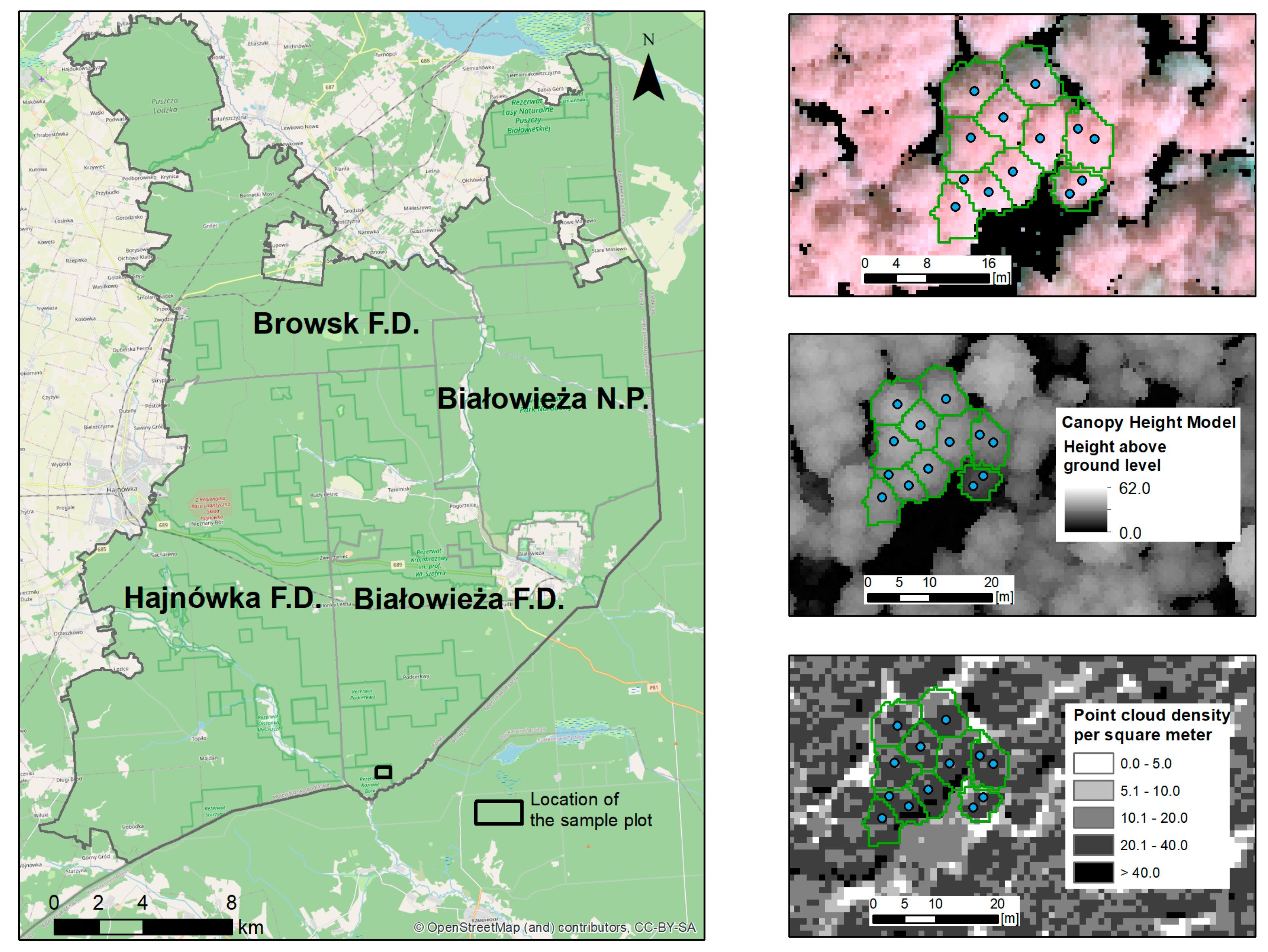 Remotesensing 13 05101 g001