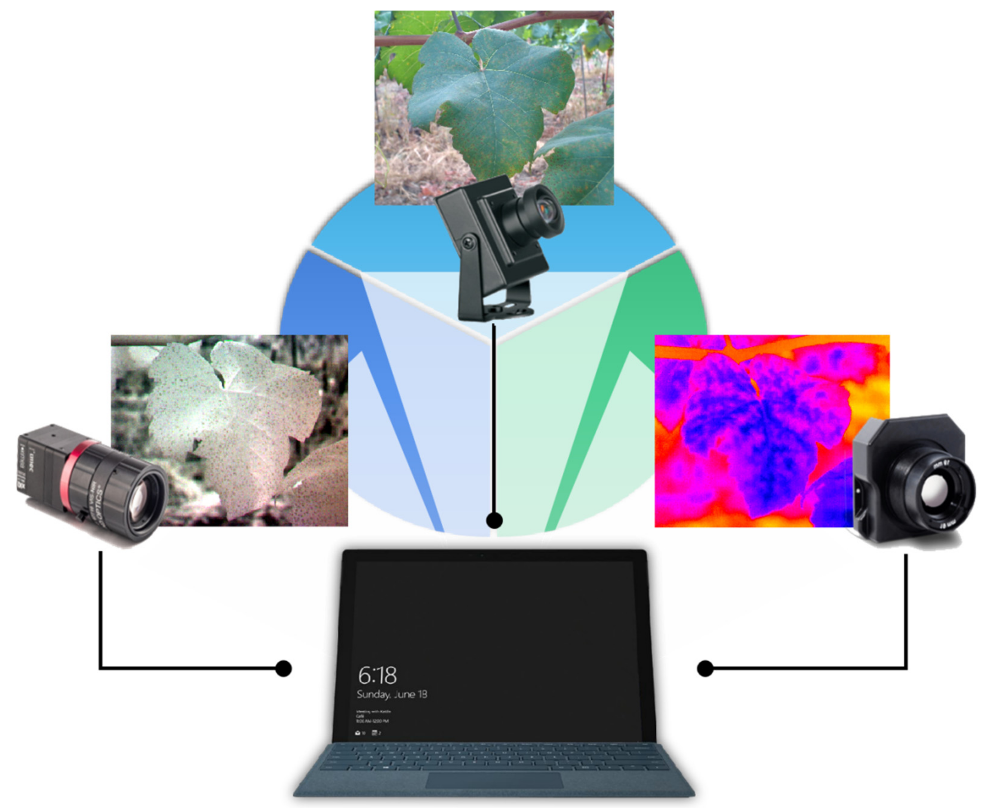 Remotesensing 13 05102 g001 550