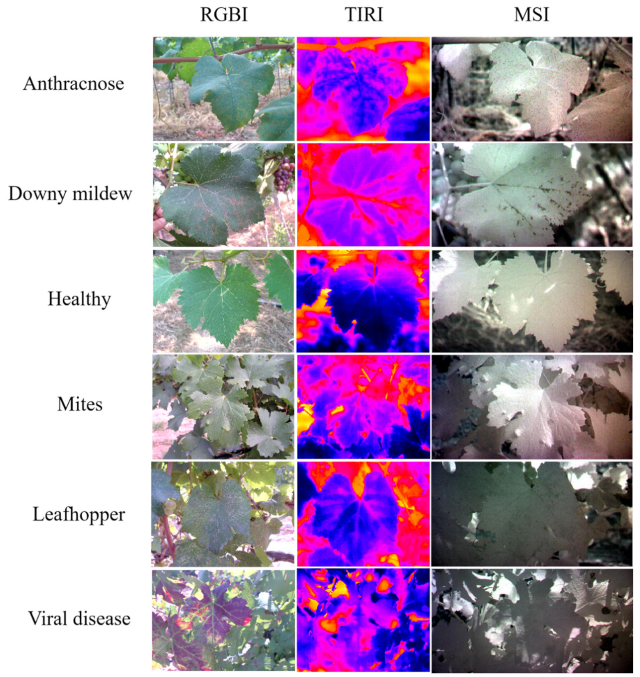 Remotesensing 13 05102 g002 550