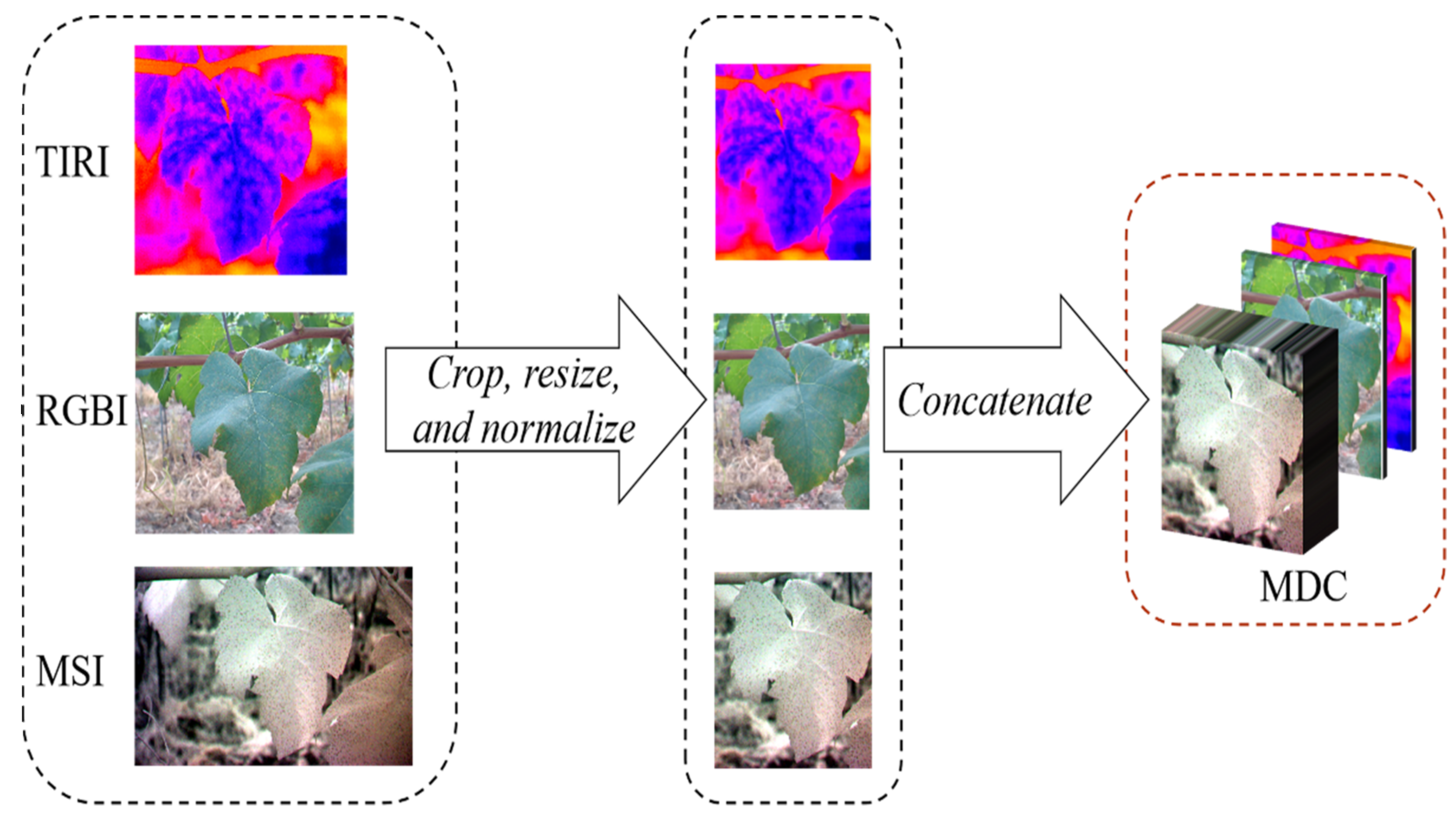 Remotesensing 13 05102 g003 550