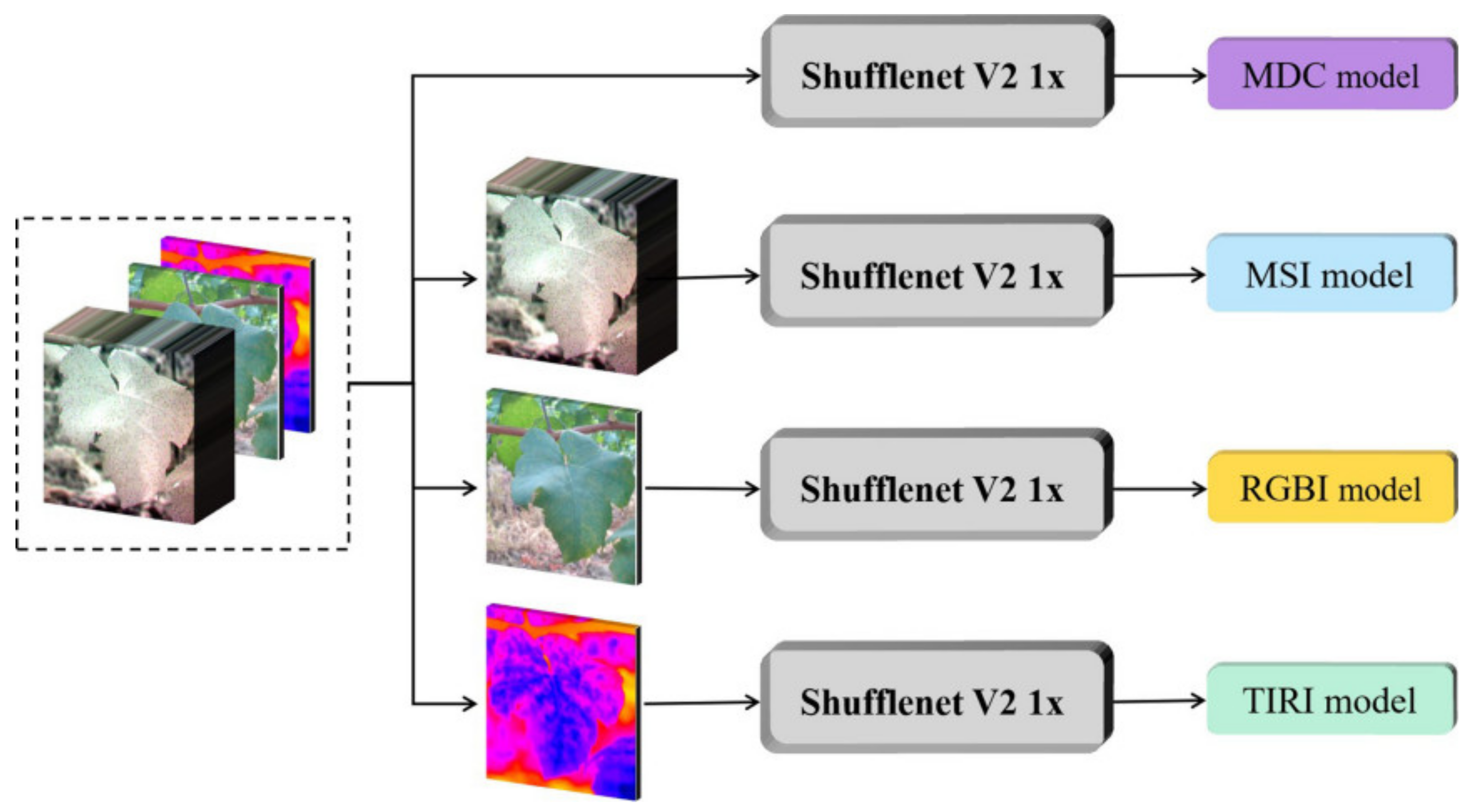 Remotesensing 13 05102 g004 550