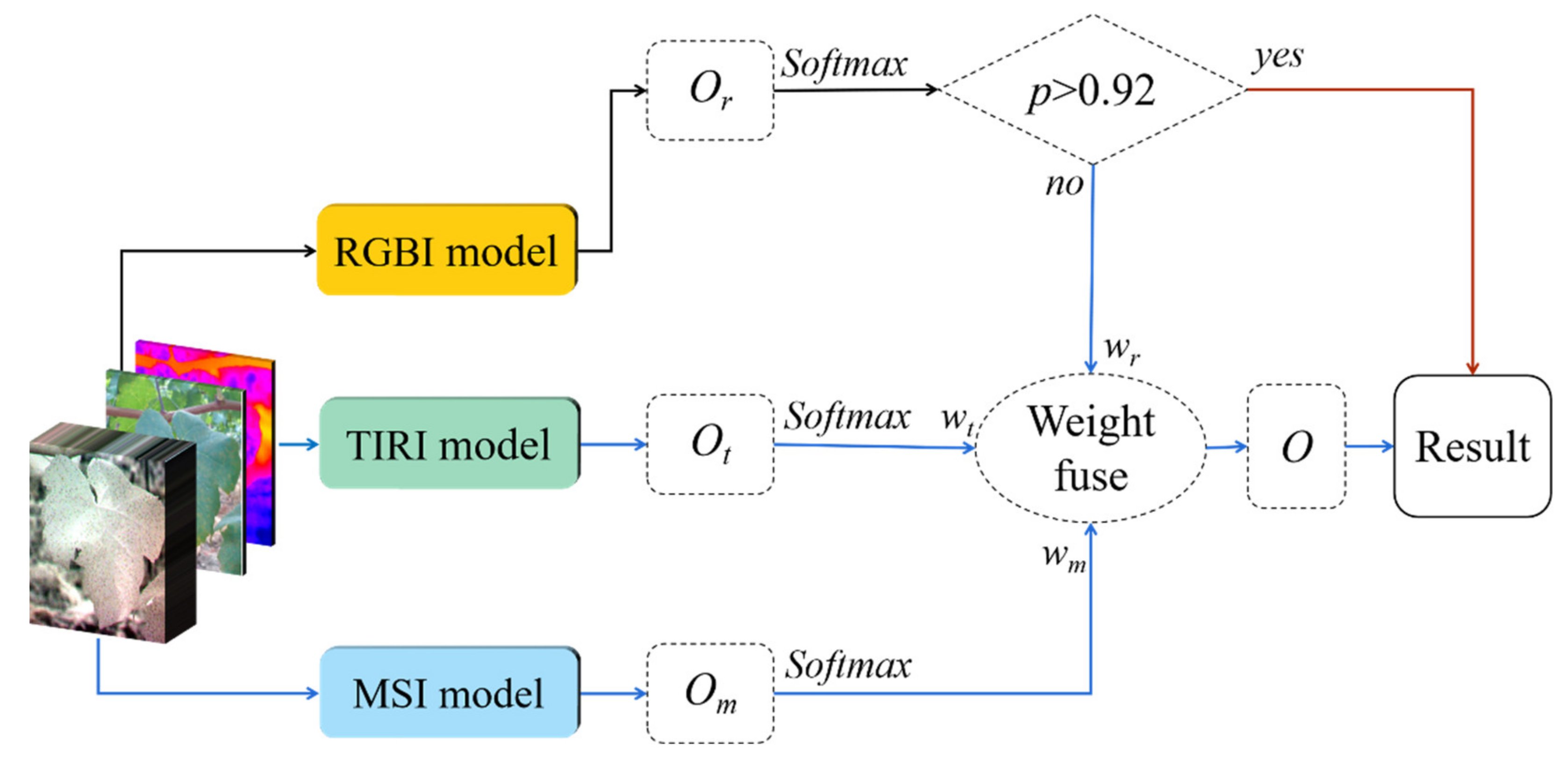 Remotesensing 13 05102 g009 550