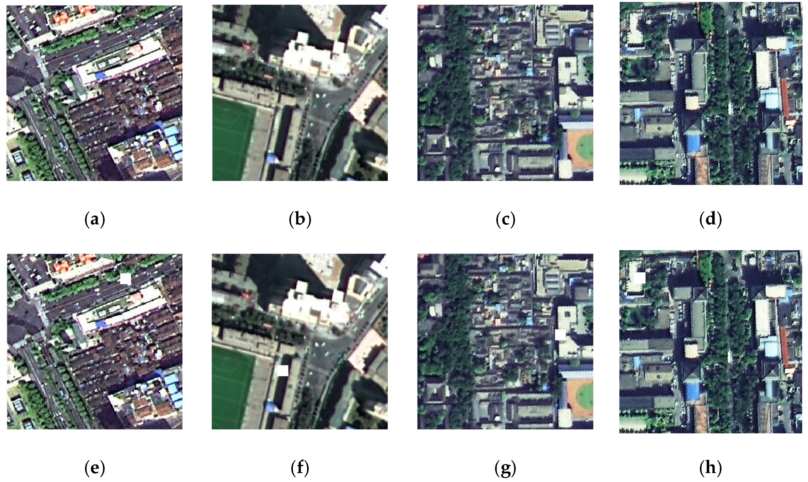 Remotesensing 13 05109 g009 550