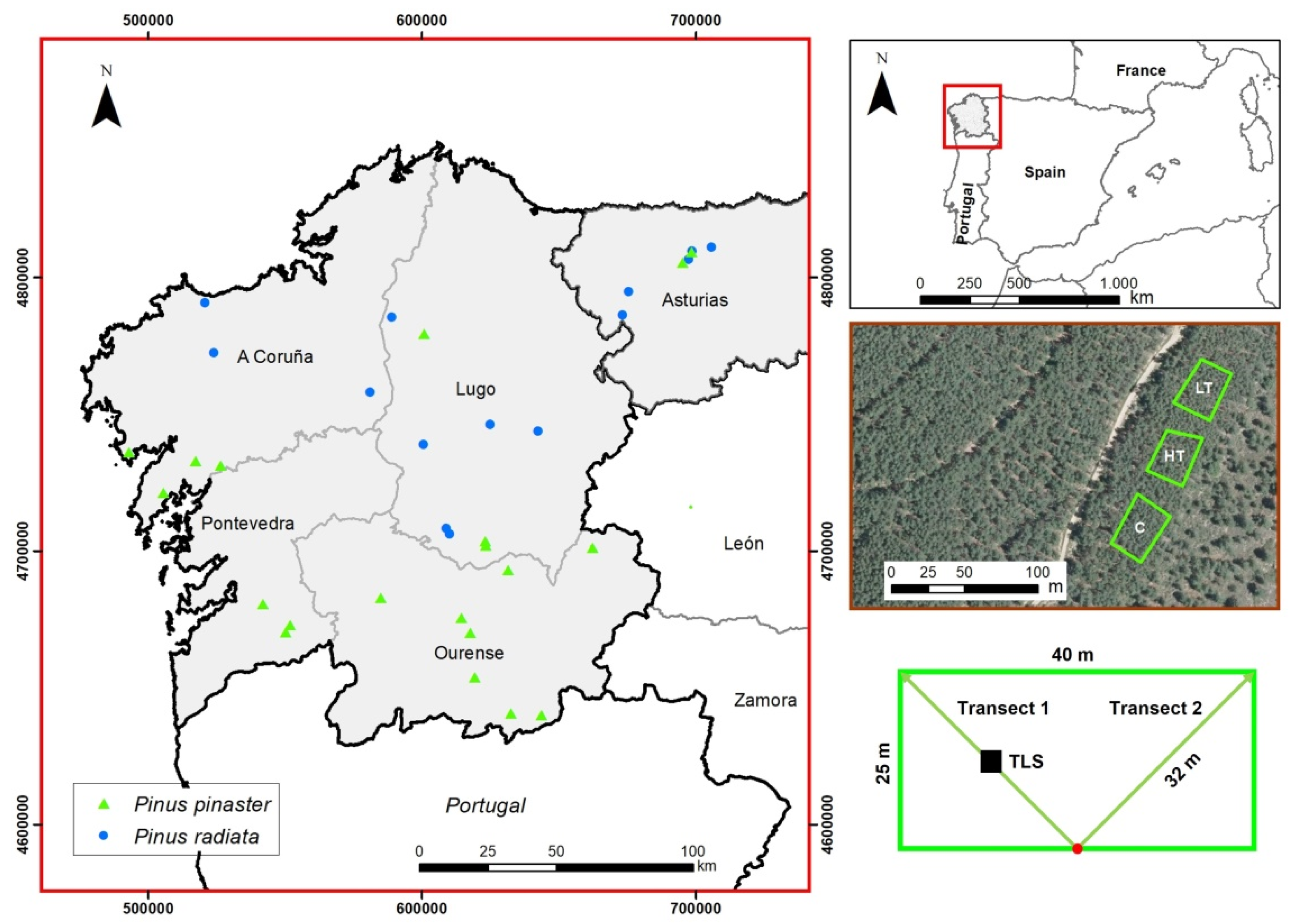 Remotesensing 13 05170 g001