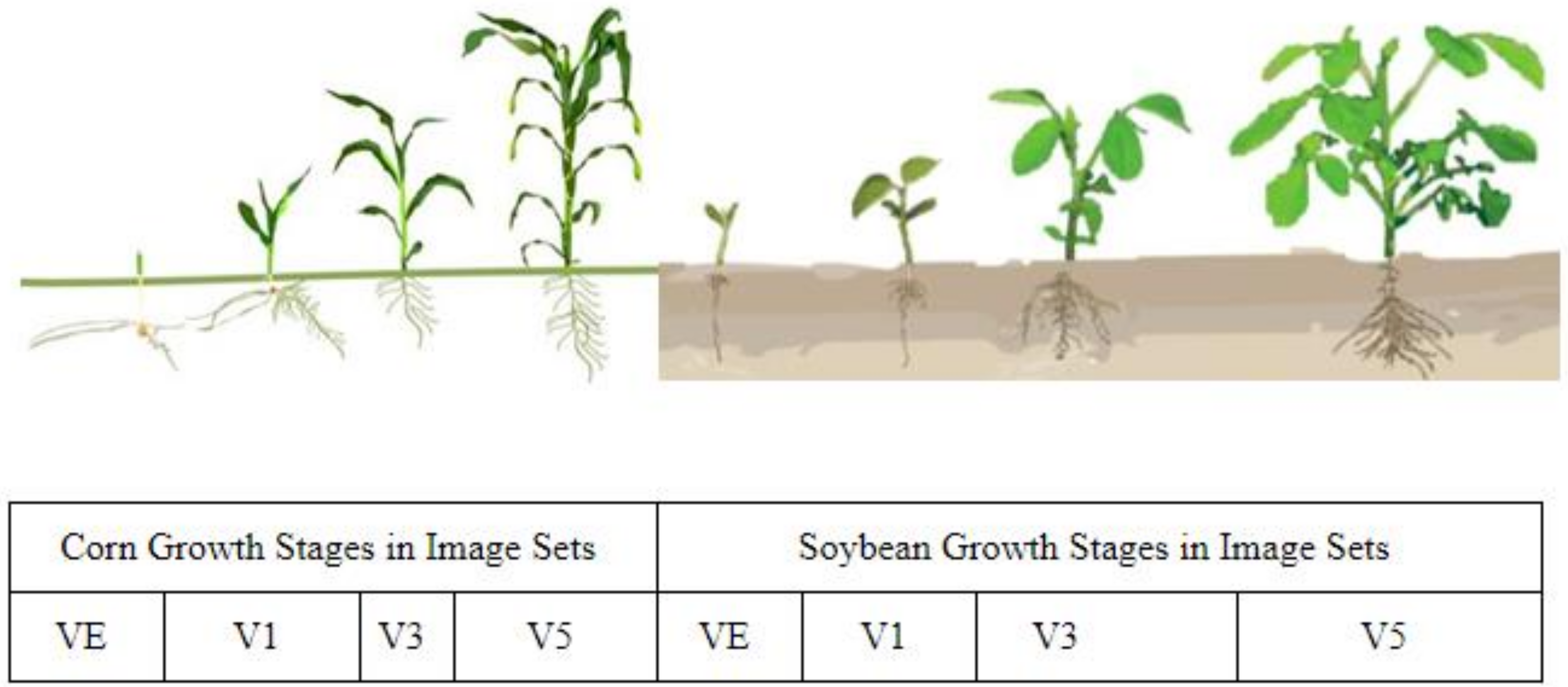 Remotesensing 13 05182 g002 550