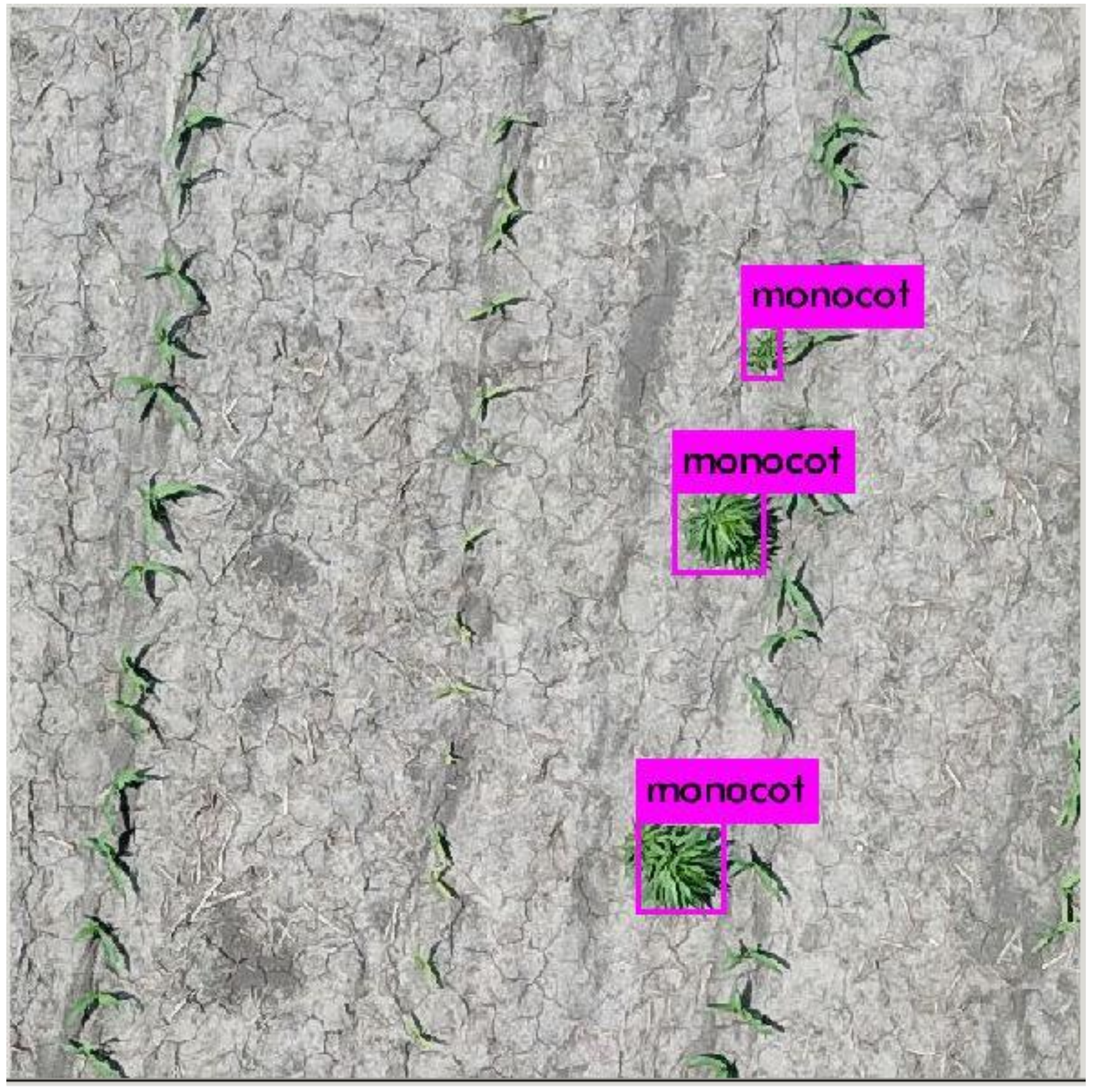 Remotesensing 13 05182 g009 550