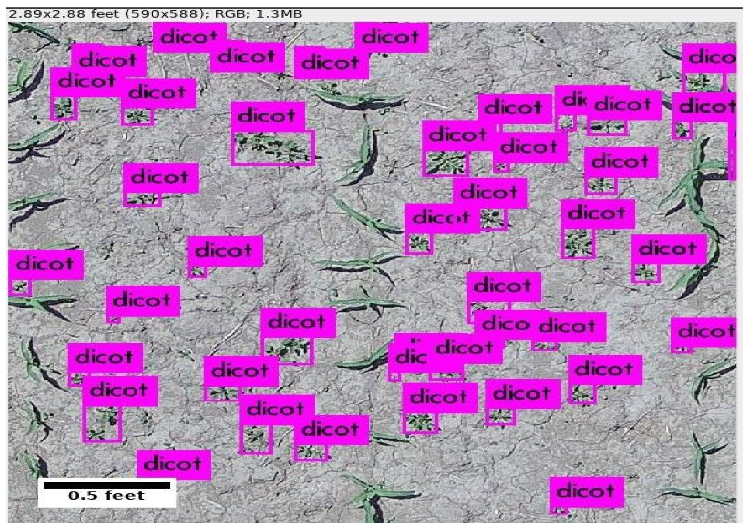 Remotesensing 13 05182 g011 550