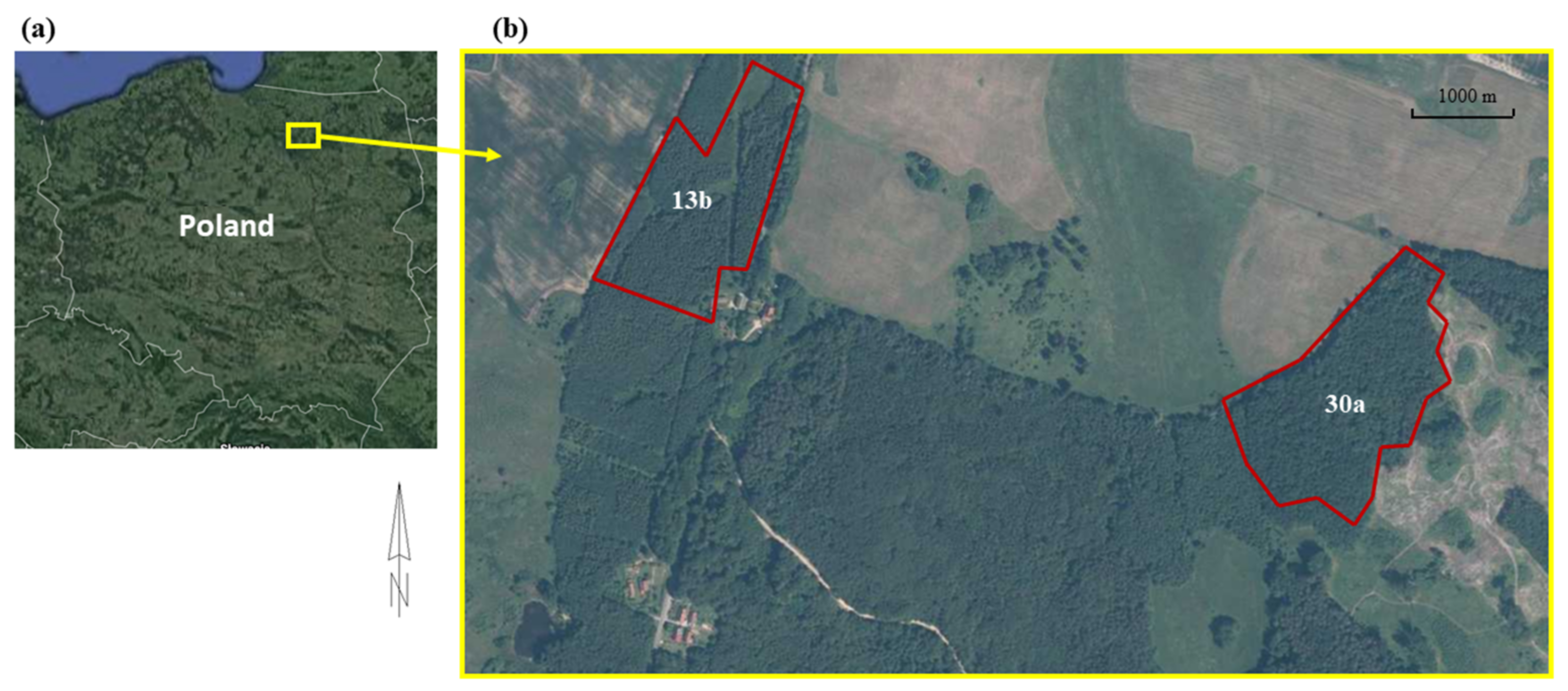 Remotesensing 14 00016 g001 550