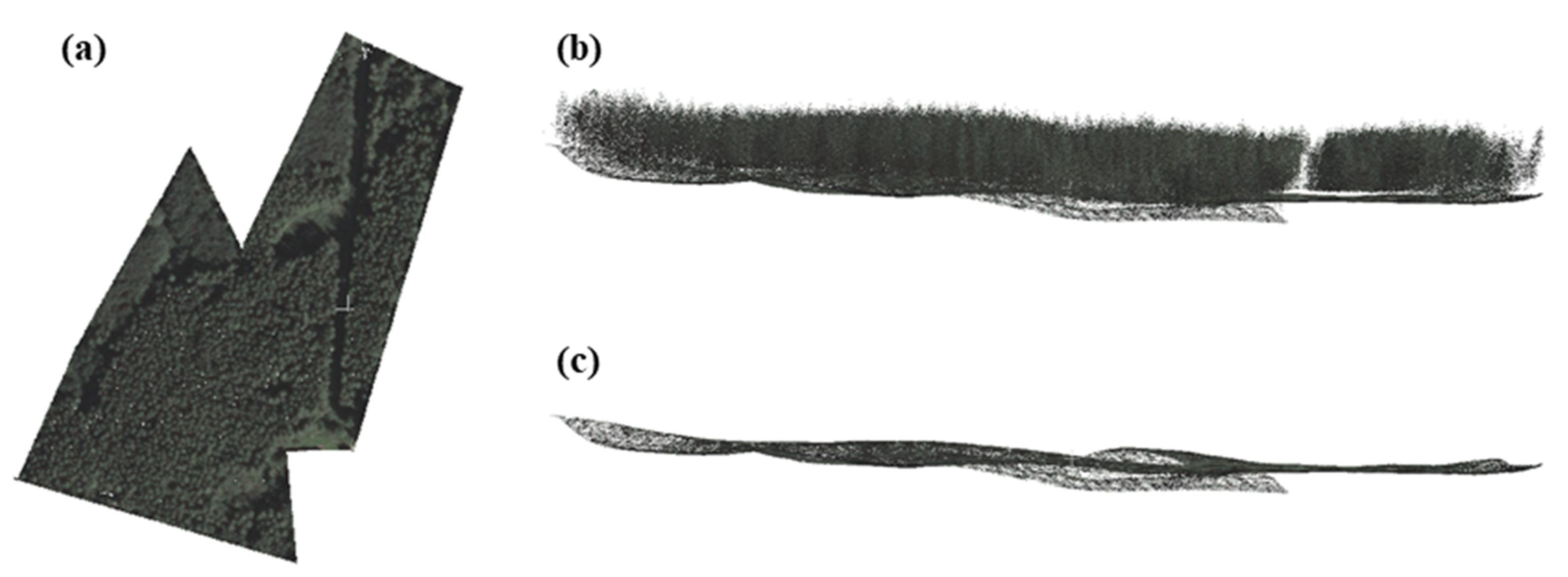 Remotesensing 14 00016 g004 550