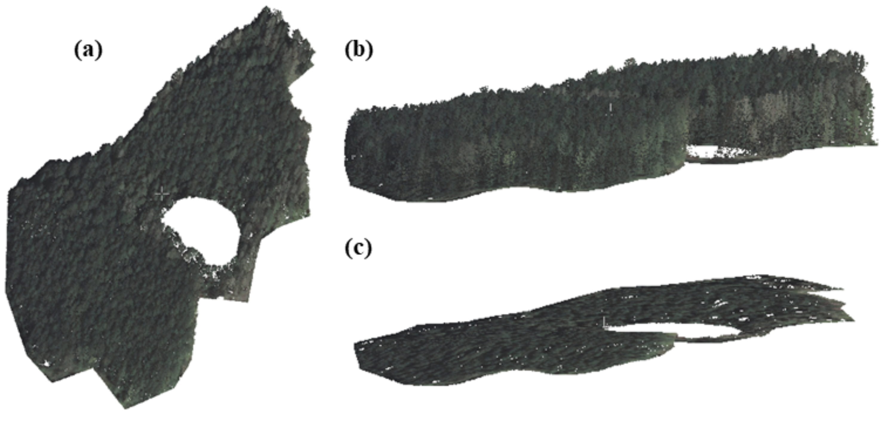 Remotesensing 14 00016 g005 550