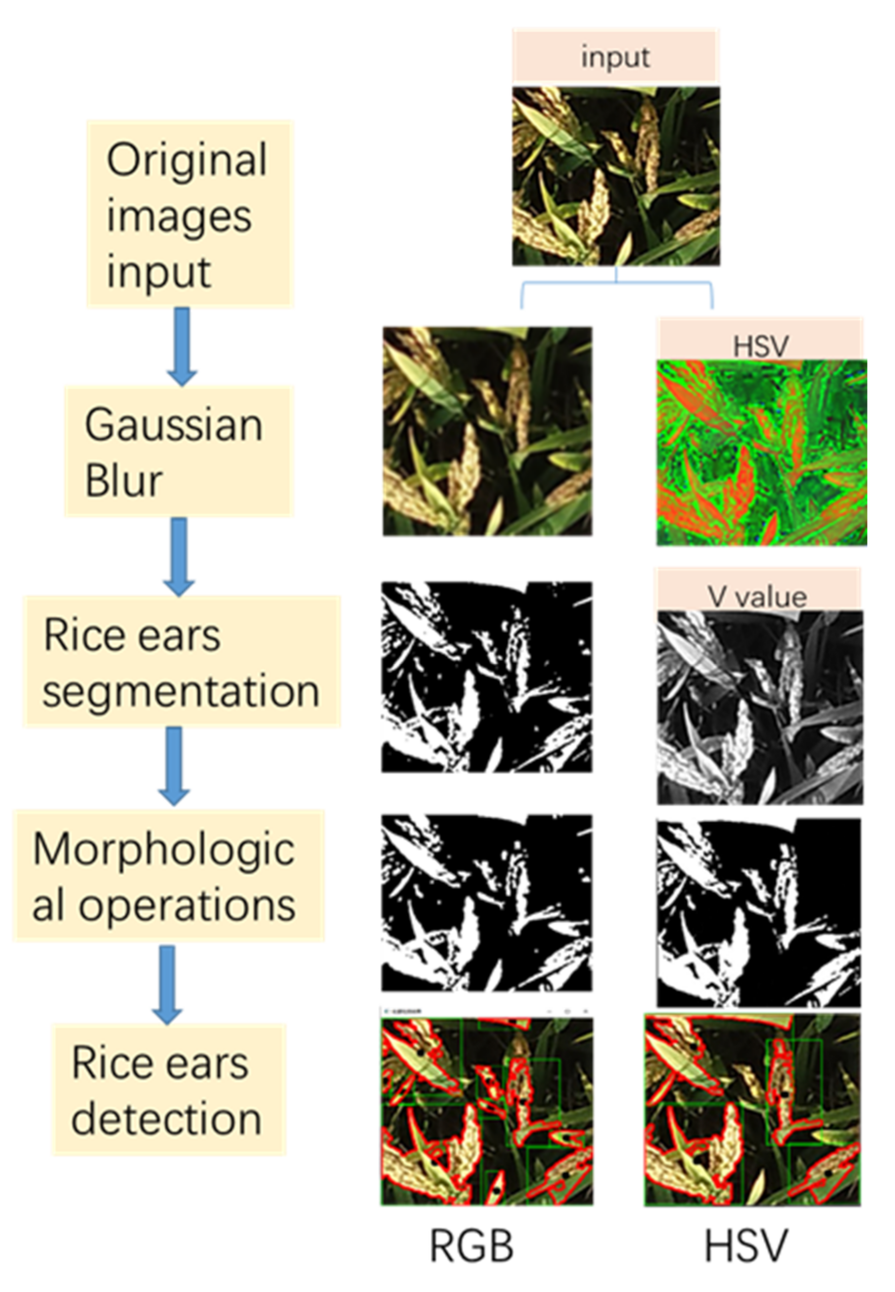Remotesensing 14 00046 g003 550